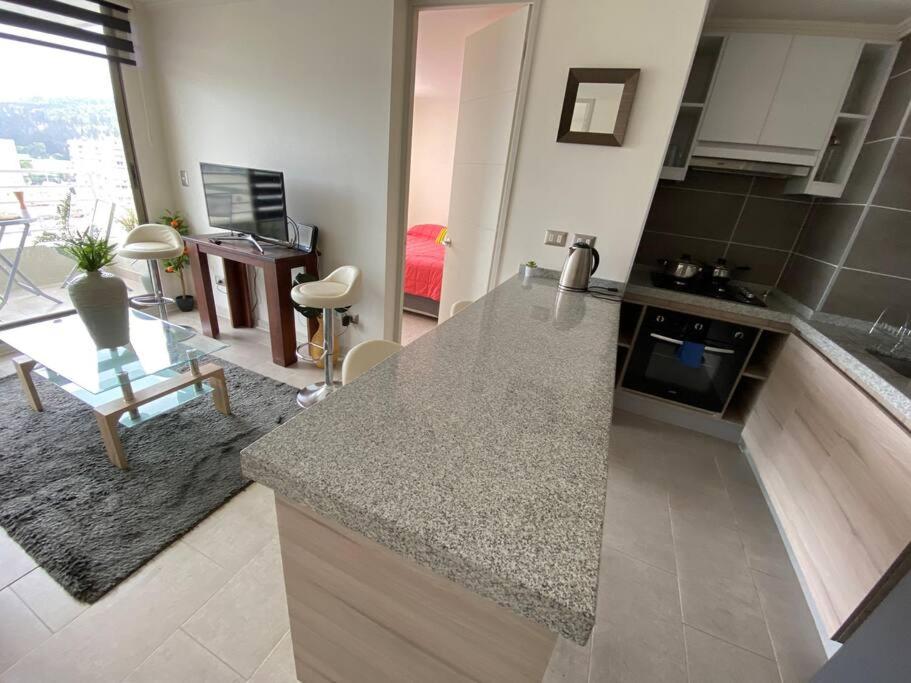 Hermoso Departamento con excelente vista, a pasos de la Quinta Vergara, cercano a Reloj de Flores y Playa Caleta Abarca