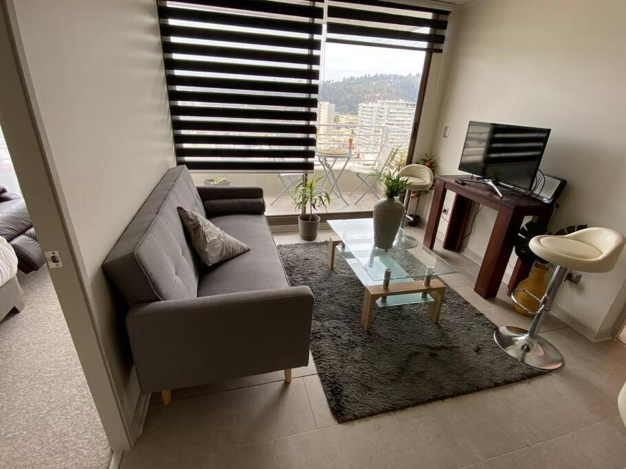 Hermoso Departamento con excelente vista, a pasos de la Quinta Vergara, cercano a Reloj de Flores y Playa Caleta Abarca
