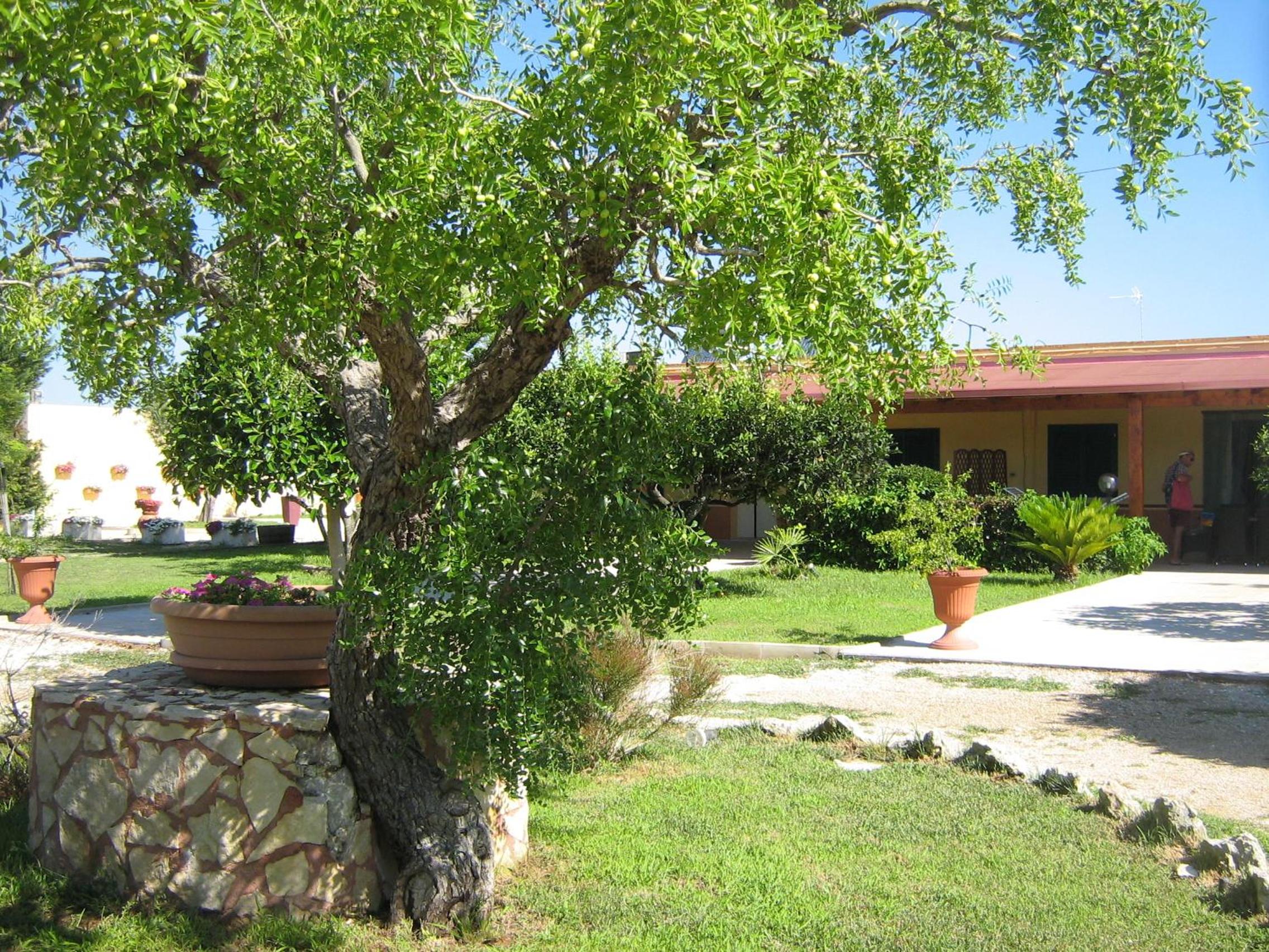 Photo 13