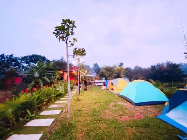 Vuglamping