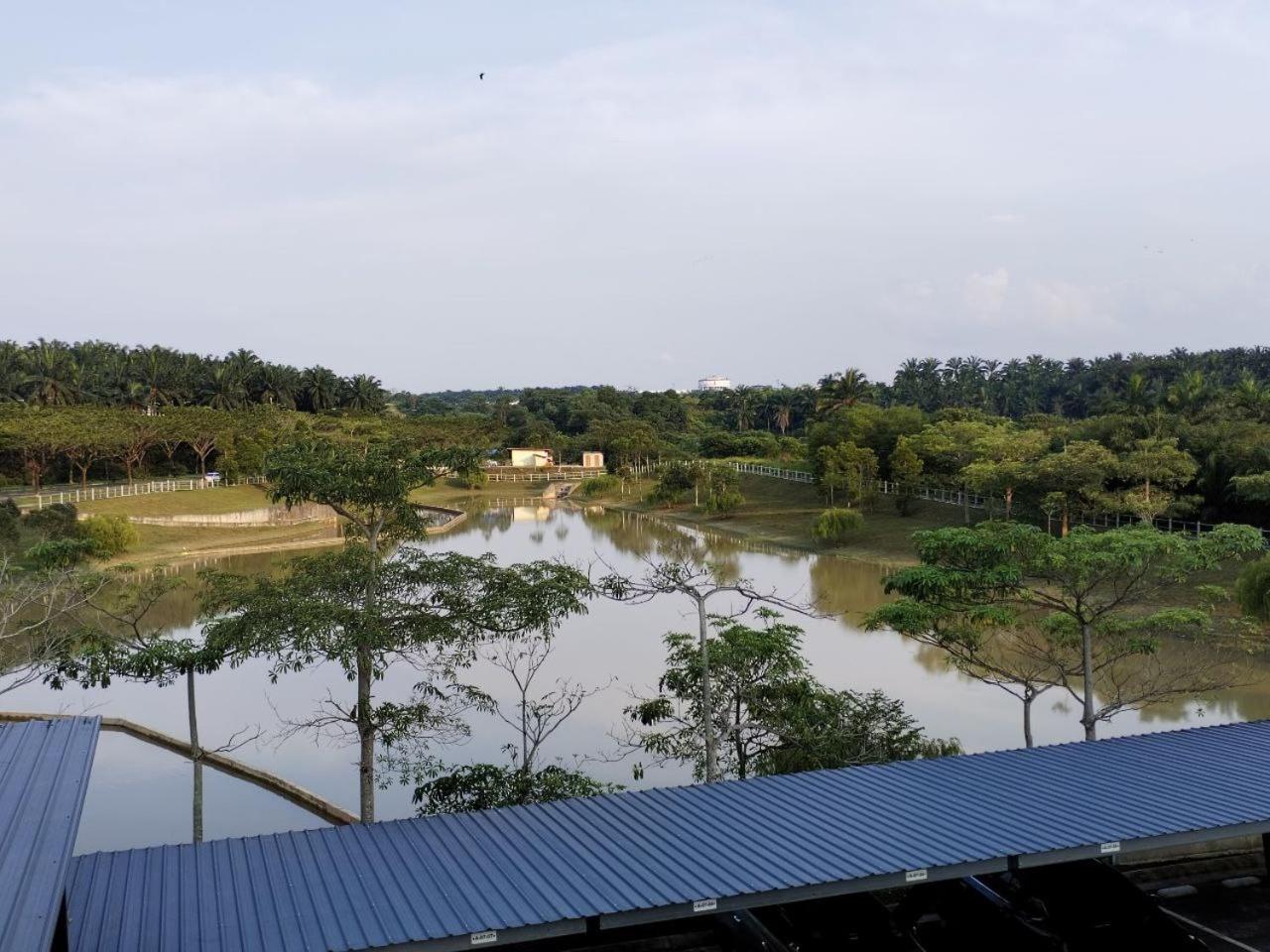 Camellia Residence ForestView Seri Austin Johor Bahru Near Eco Palladium by Harmony Homestay