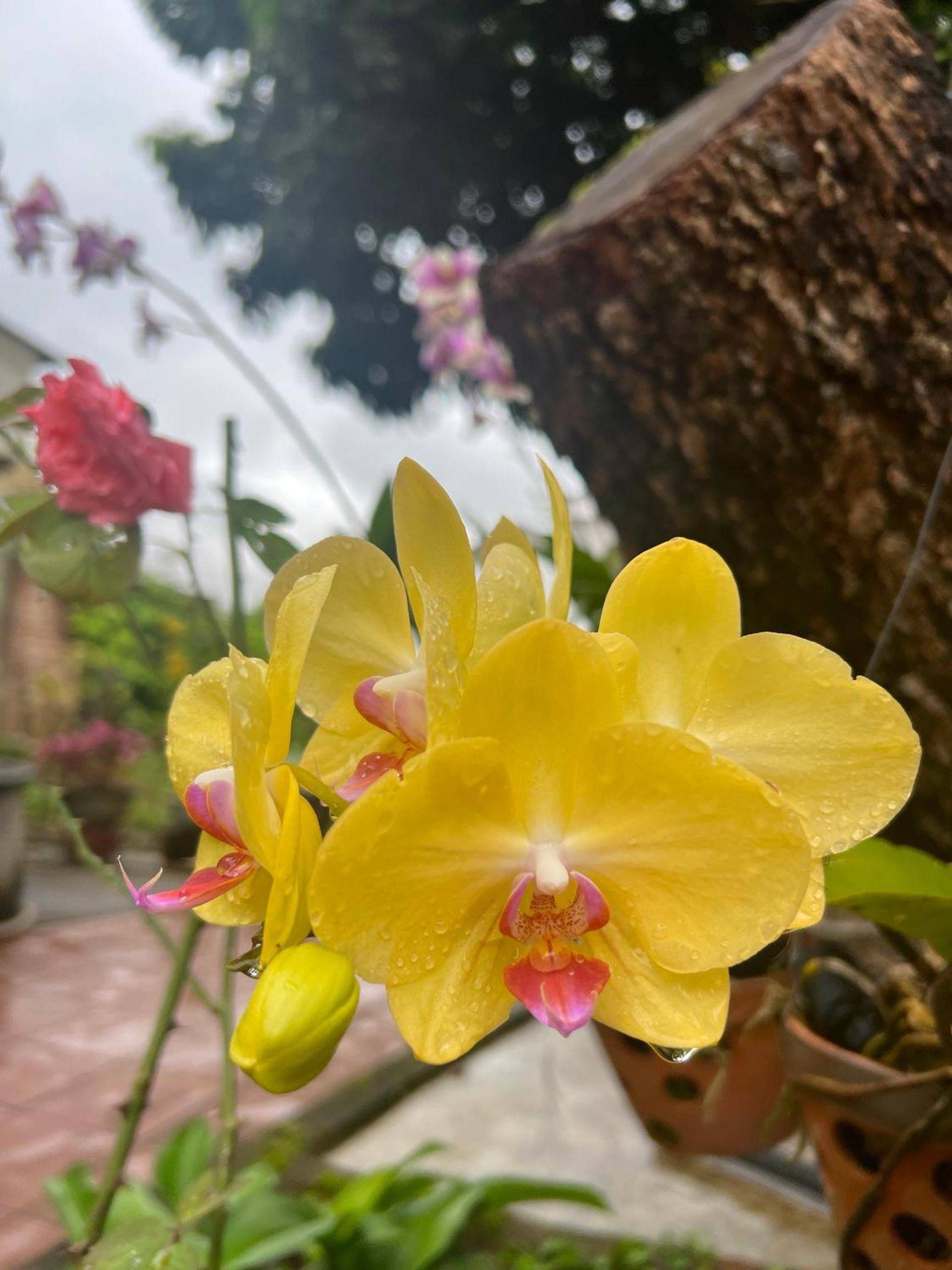 84 April Real Home
