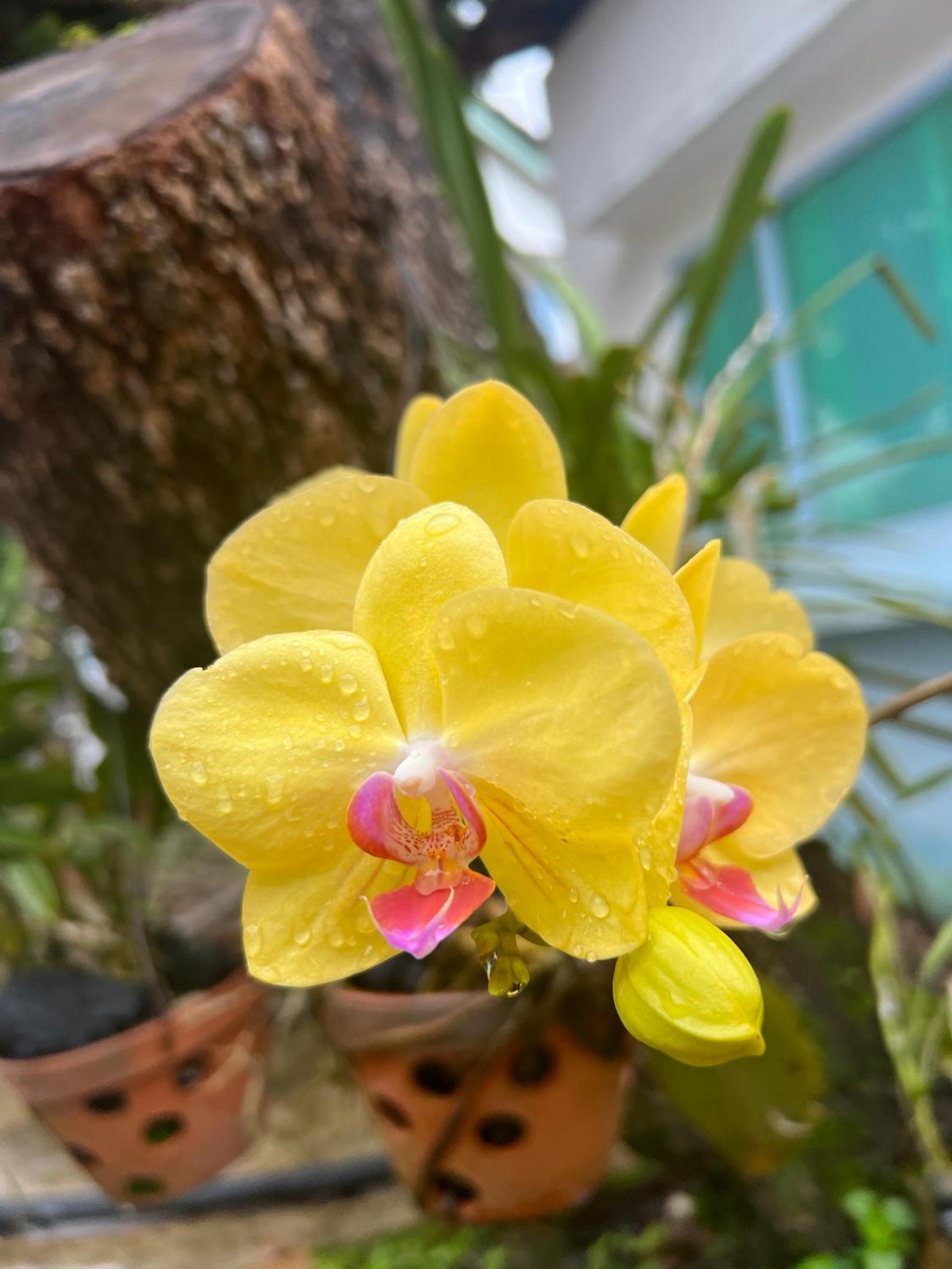 84 April Real Home