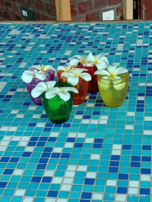 Sohana Eco Retreat Farmhouse - Karjat view 5