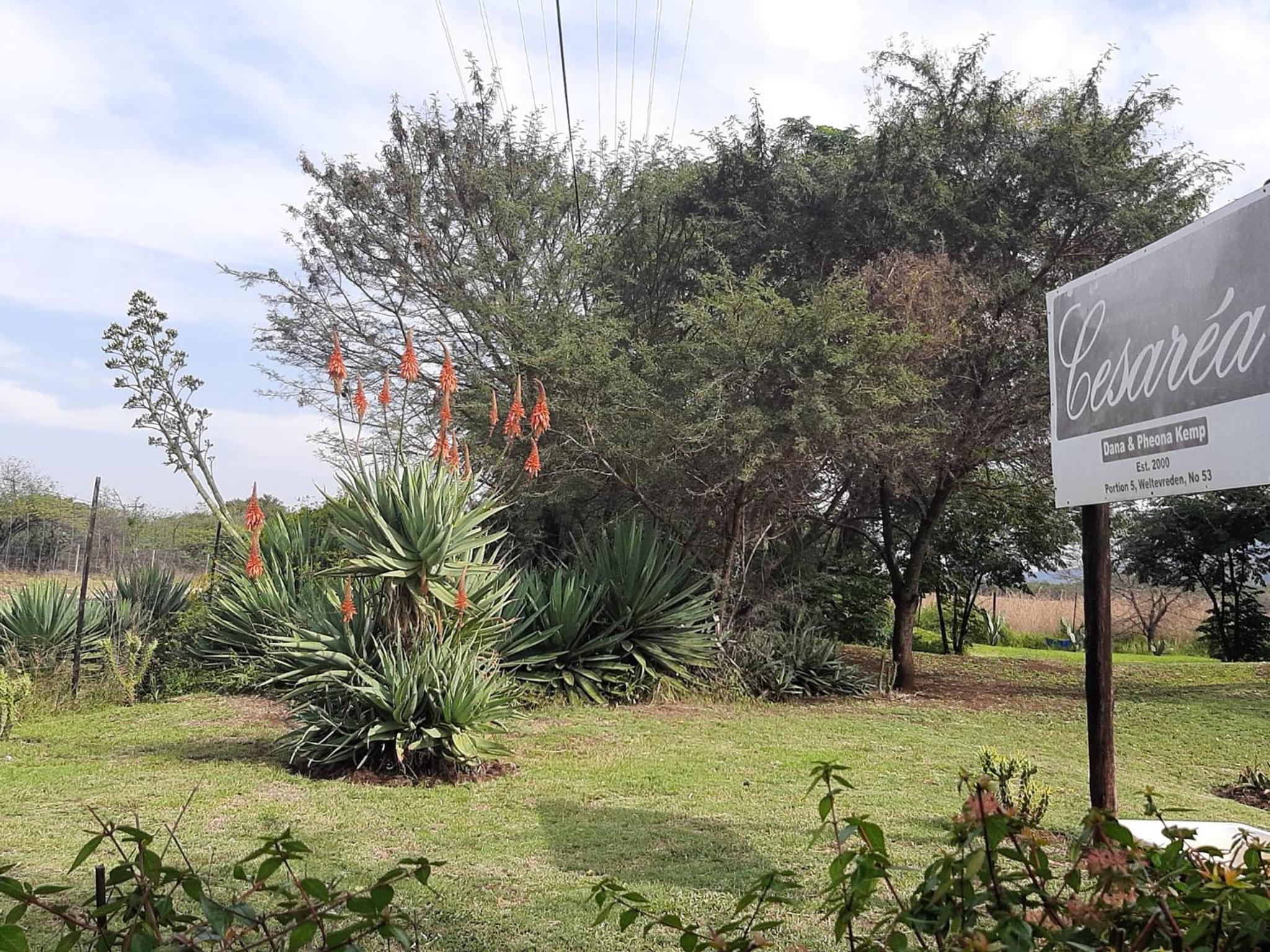 Cesarea Landgoed Guest House