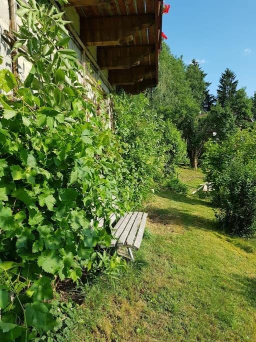Sonnwies - Erholung pur im Bayerischen Wald