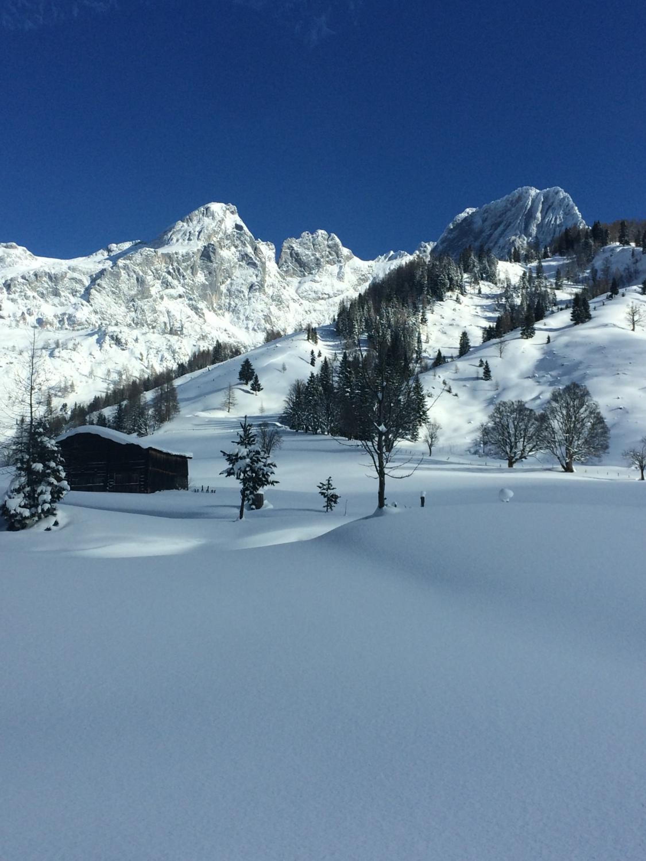 Haus Jäger view 5