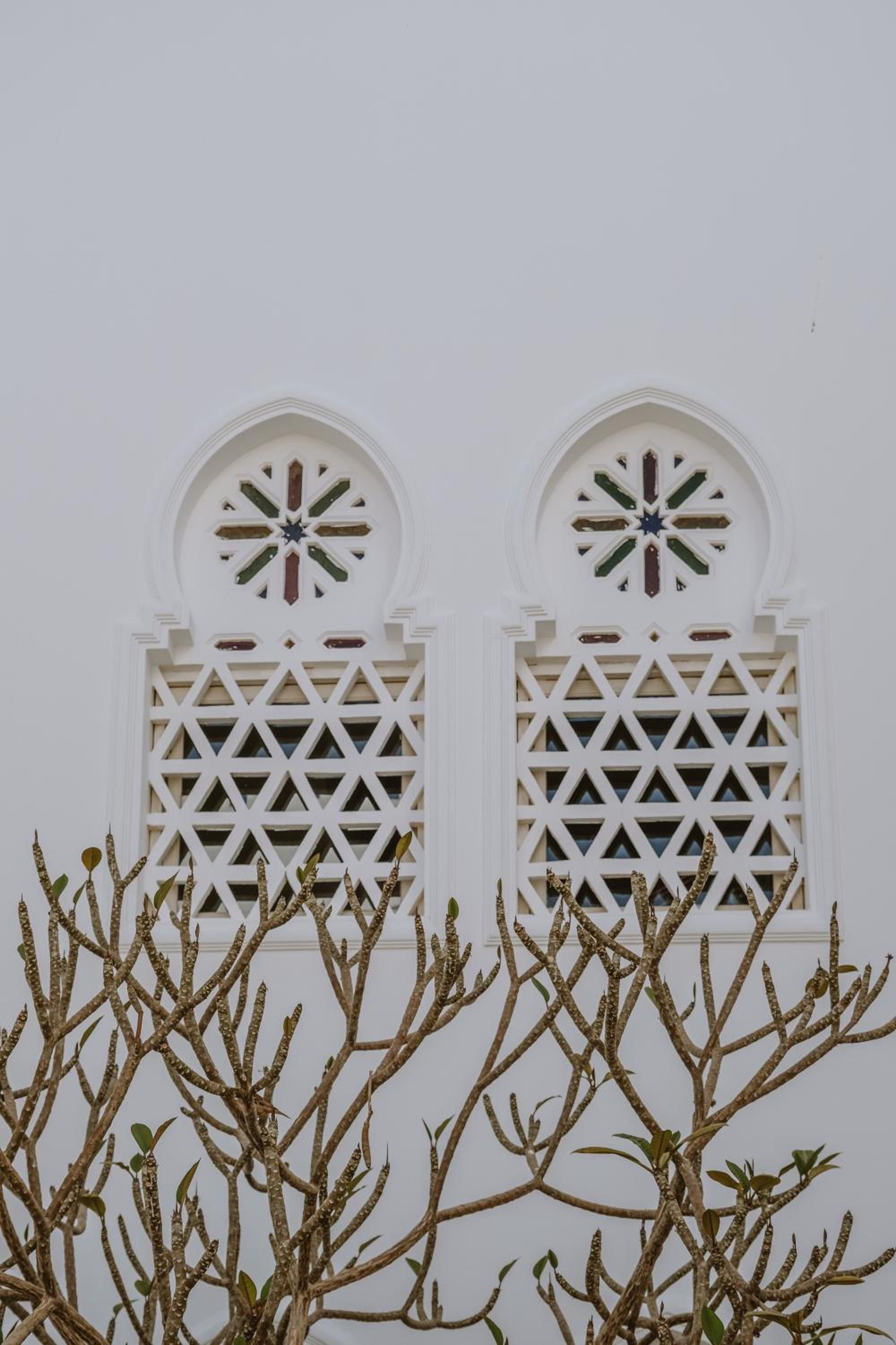 Photo 27