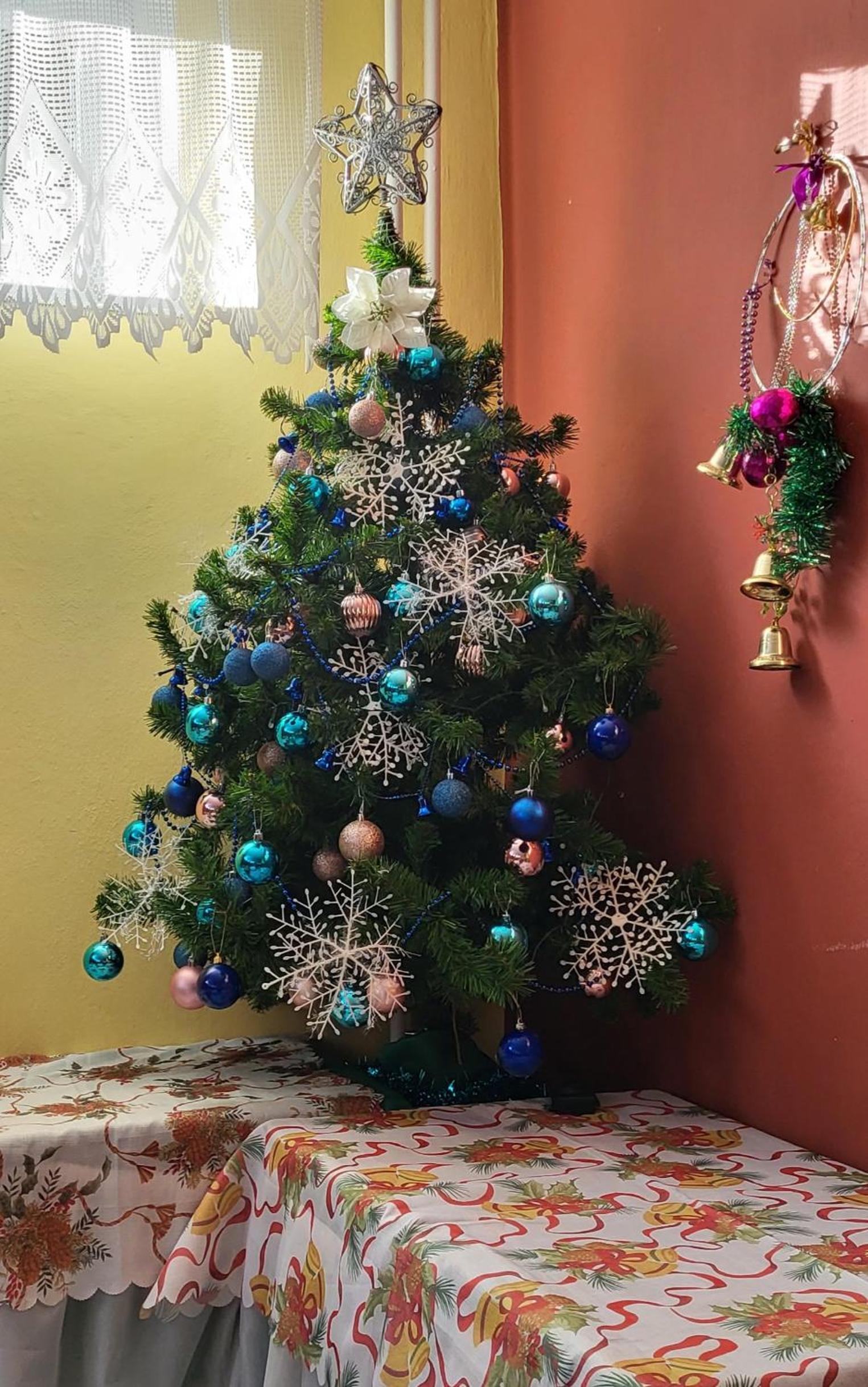 Photo 16
