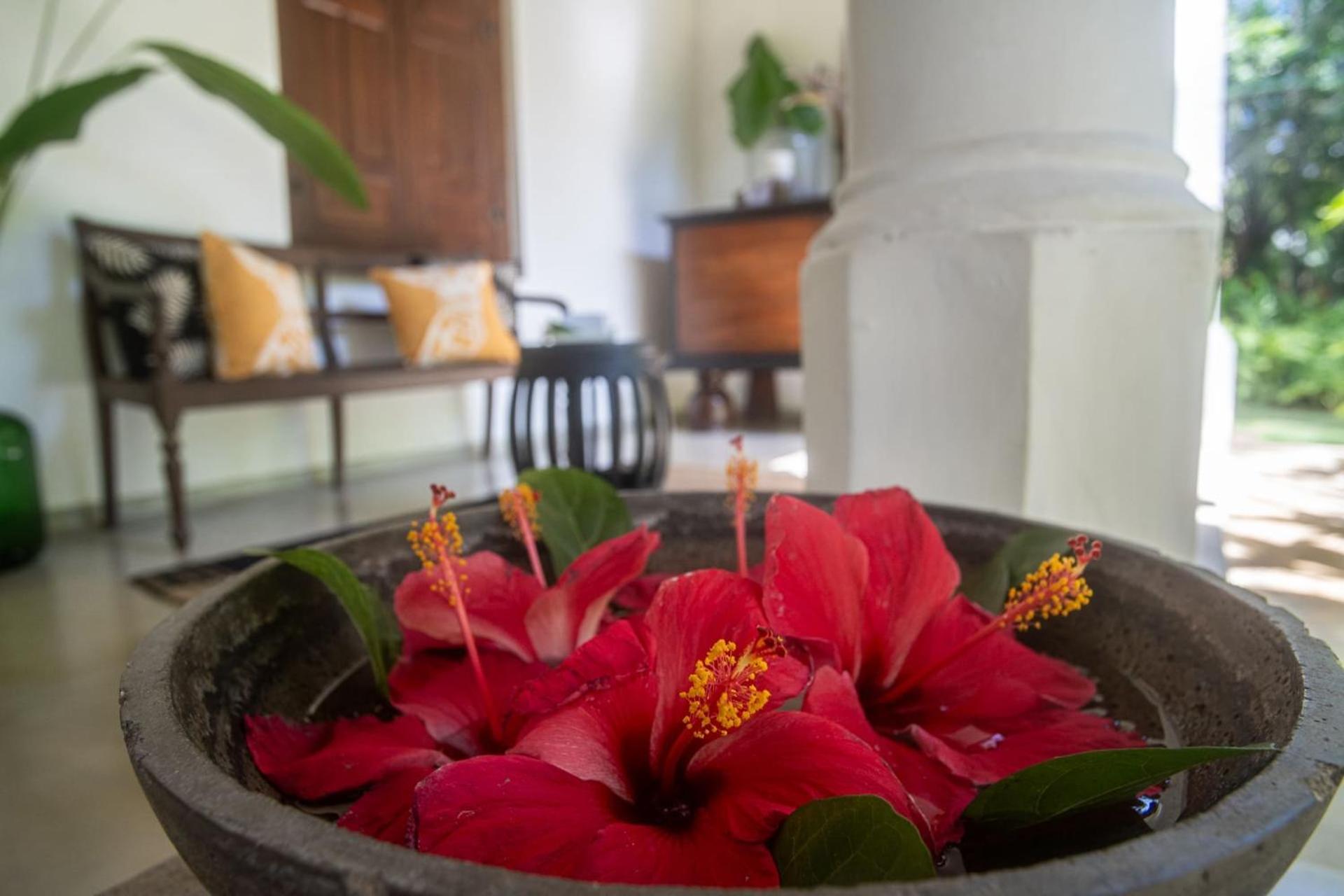 MO River House Luxury Villa