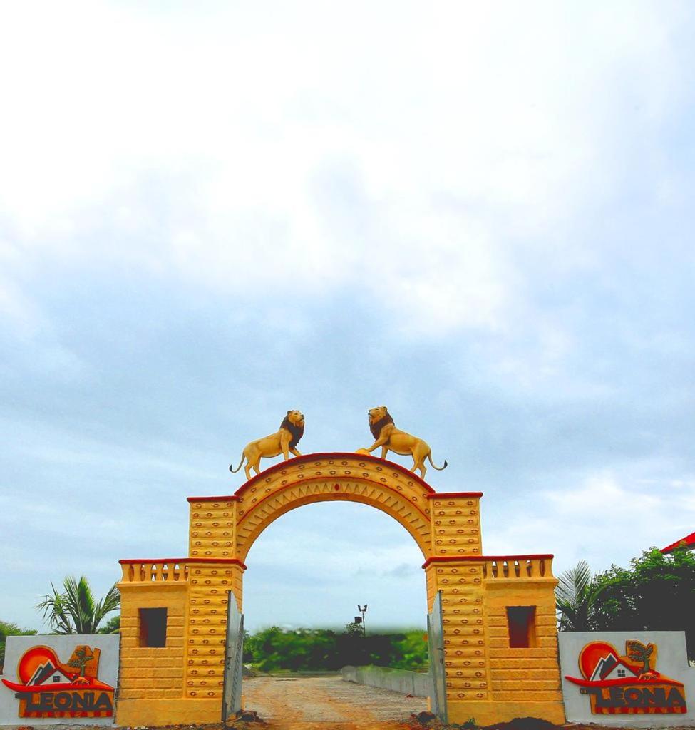 Photo 17