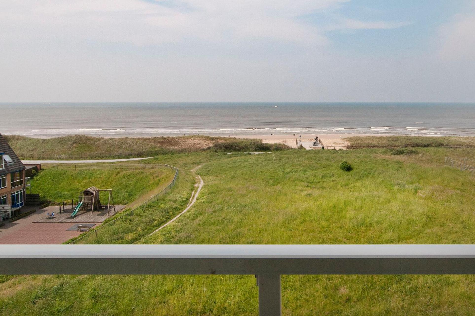 The Lookout
