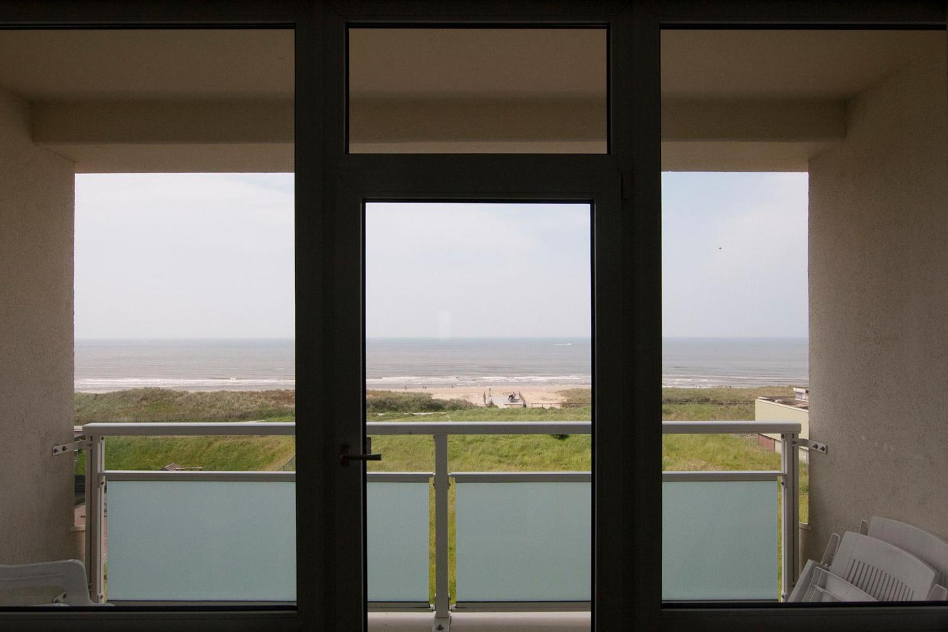 The Lookout