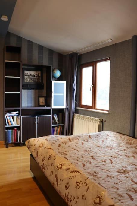Family apartment Pikris Gora view 2