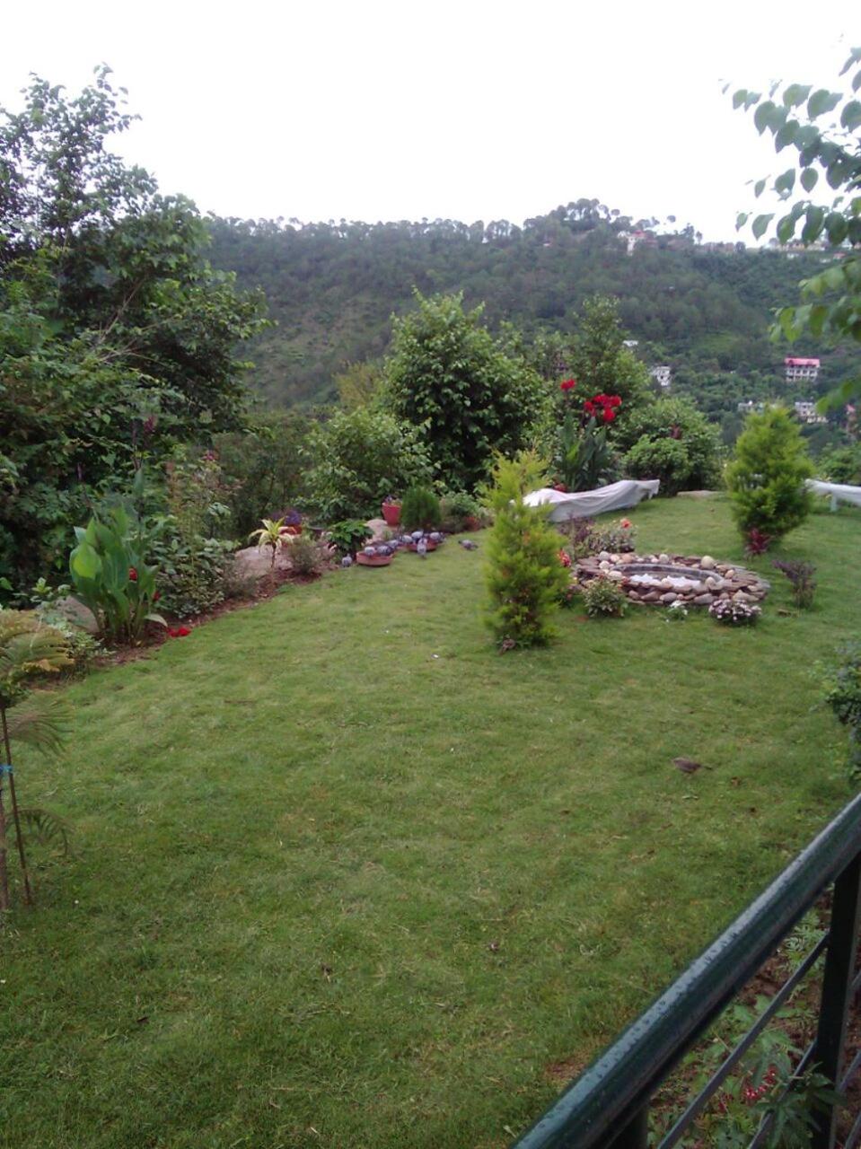 Photo 17