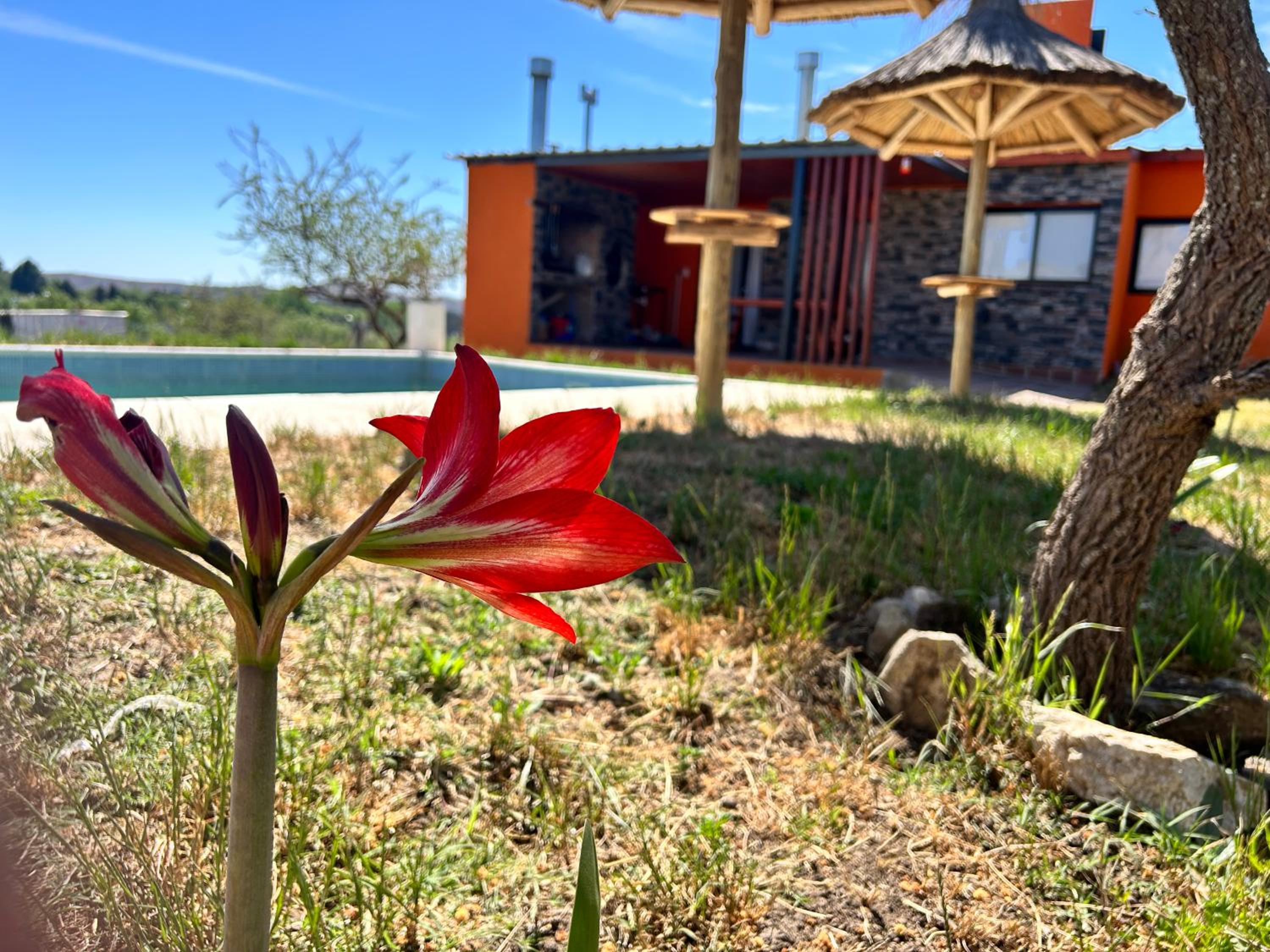 CABAÑAS VILLA MARTA