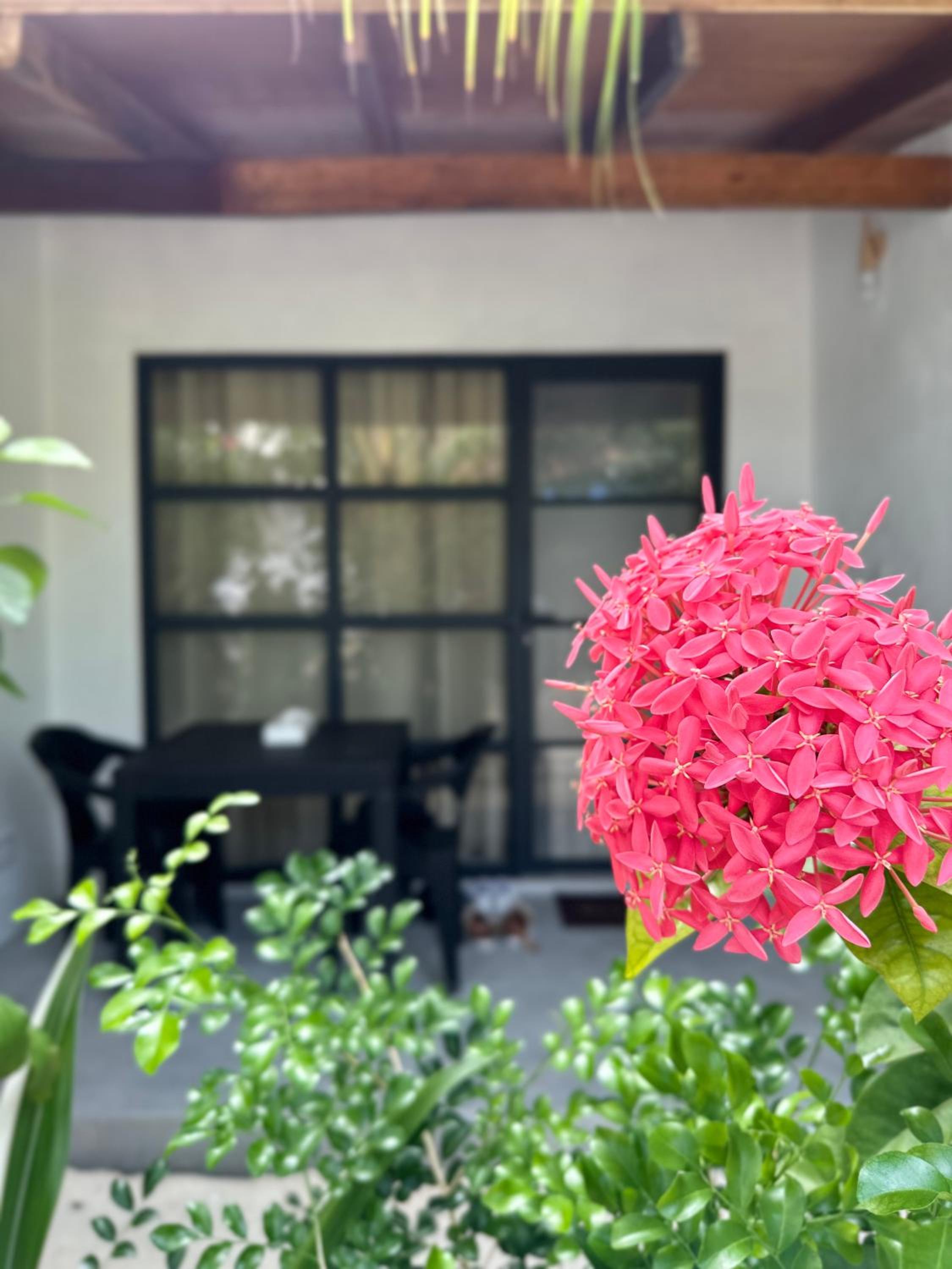 Boli Villa Thoddoo view 4