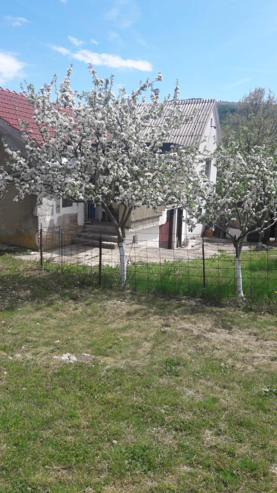 Village House Rošnjače