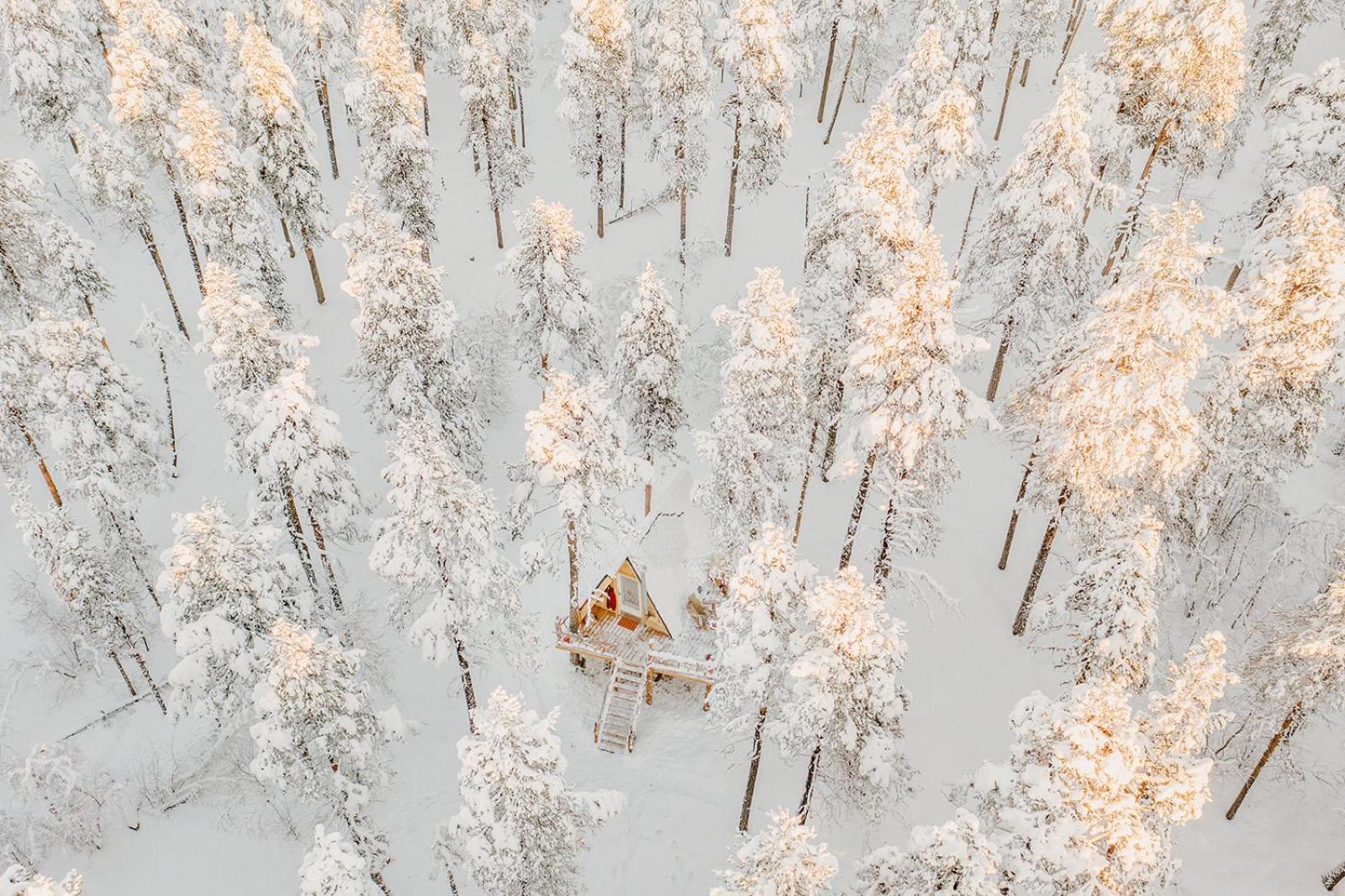 Cozy a-frame in the woods view 2