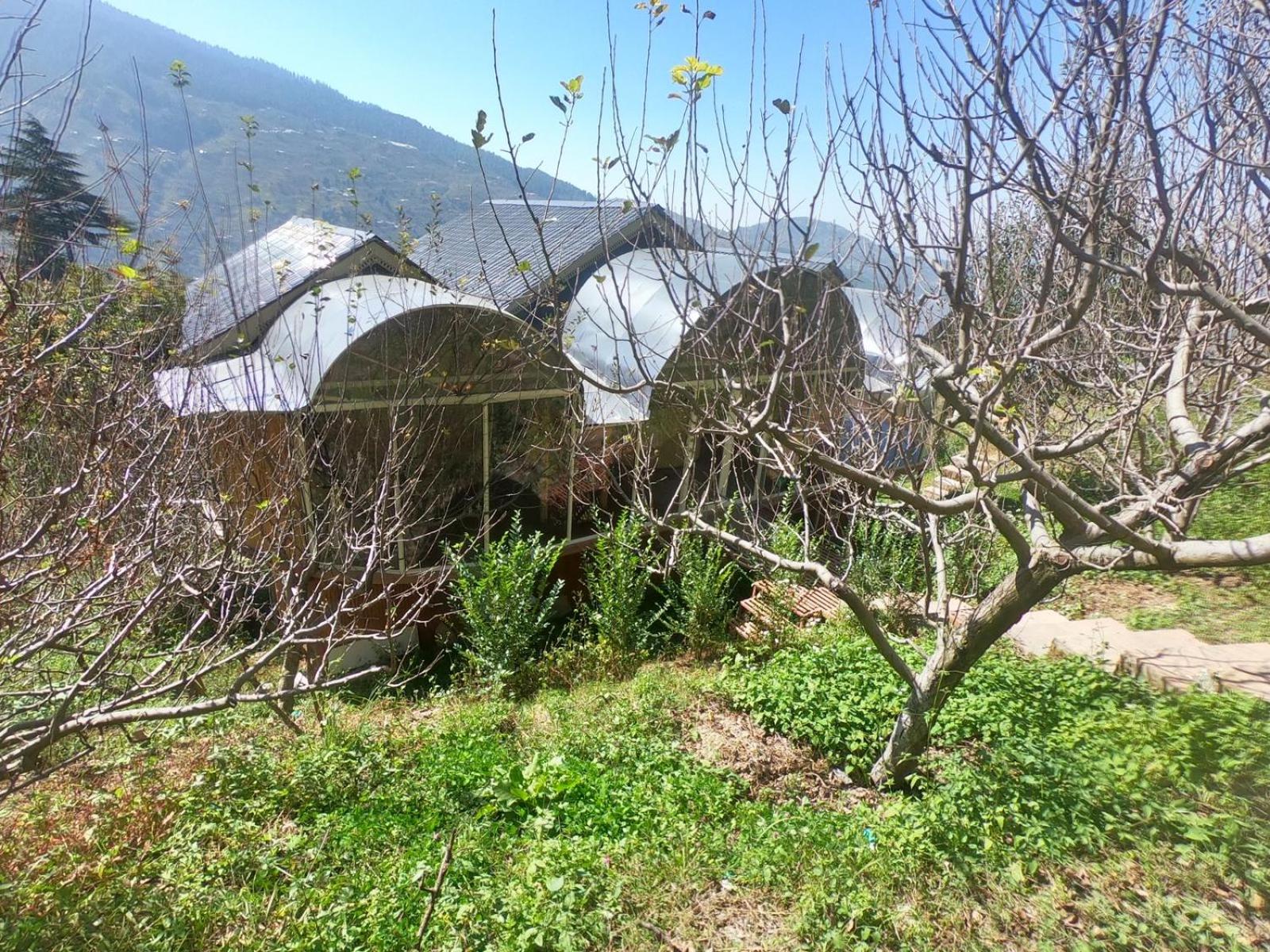 Photo 8