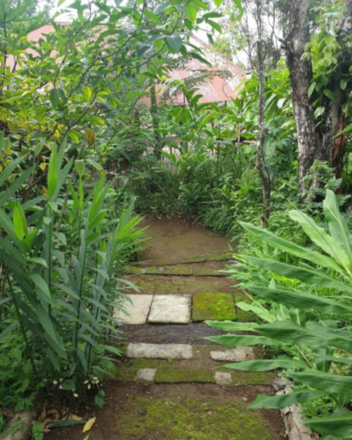 Photo 31