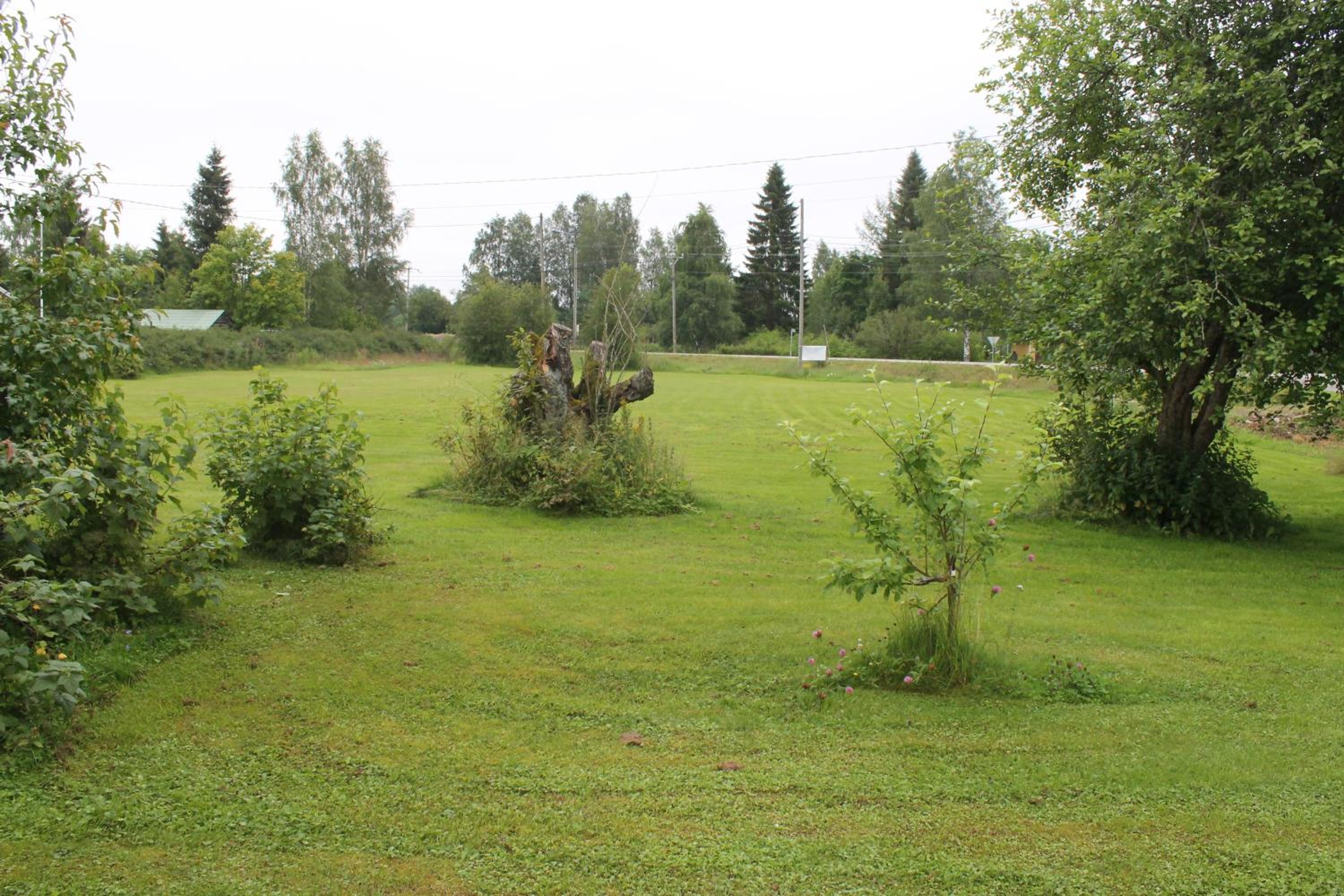 Photo 33