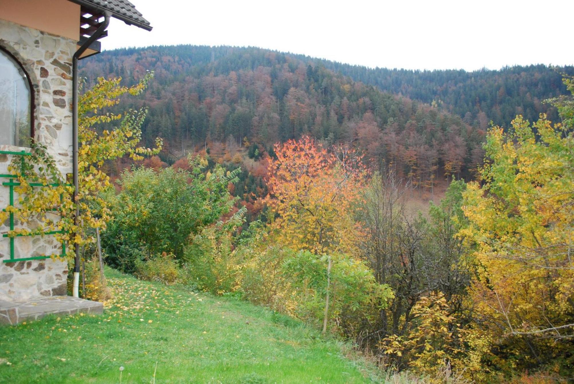 Photo 25
