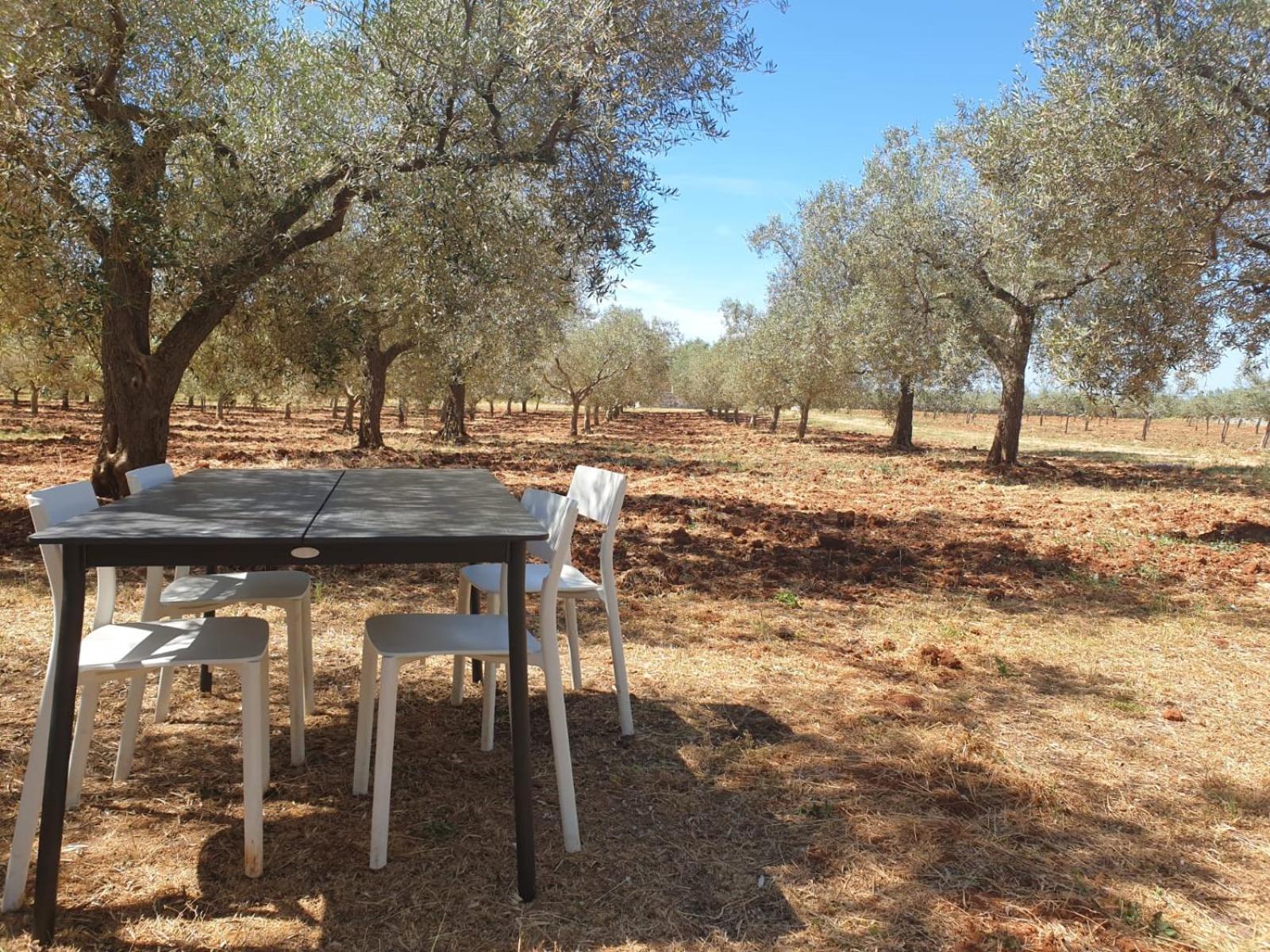 Olivea Luxury Suites
