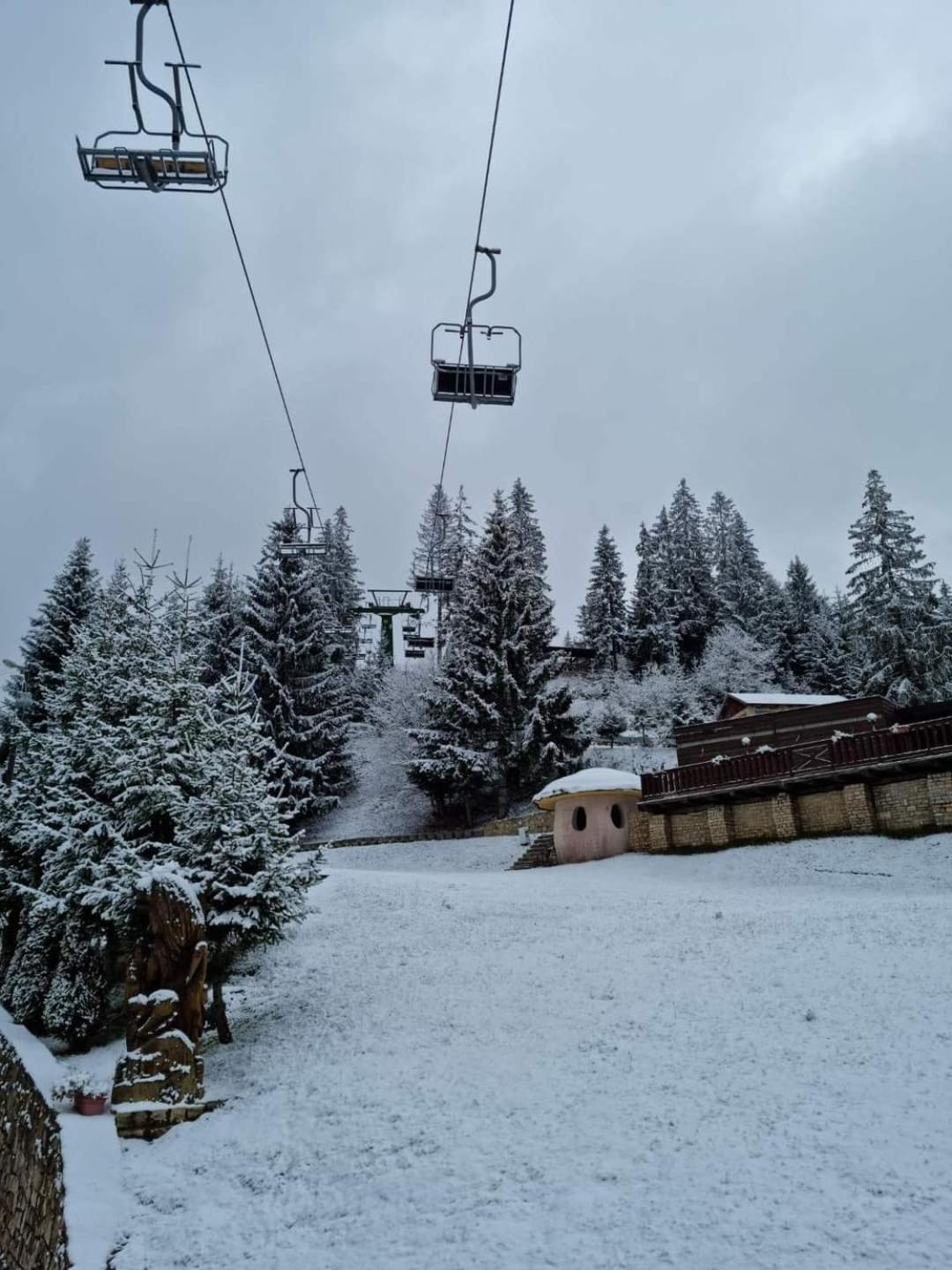 Eko FIS Snowscape