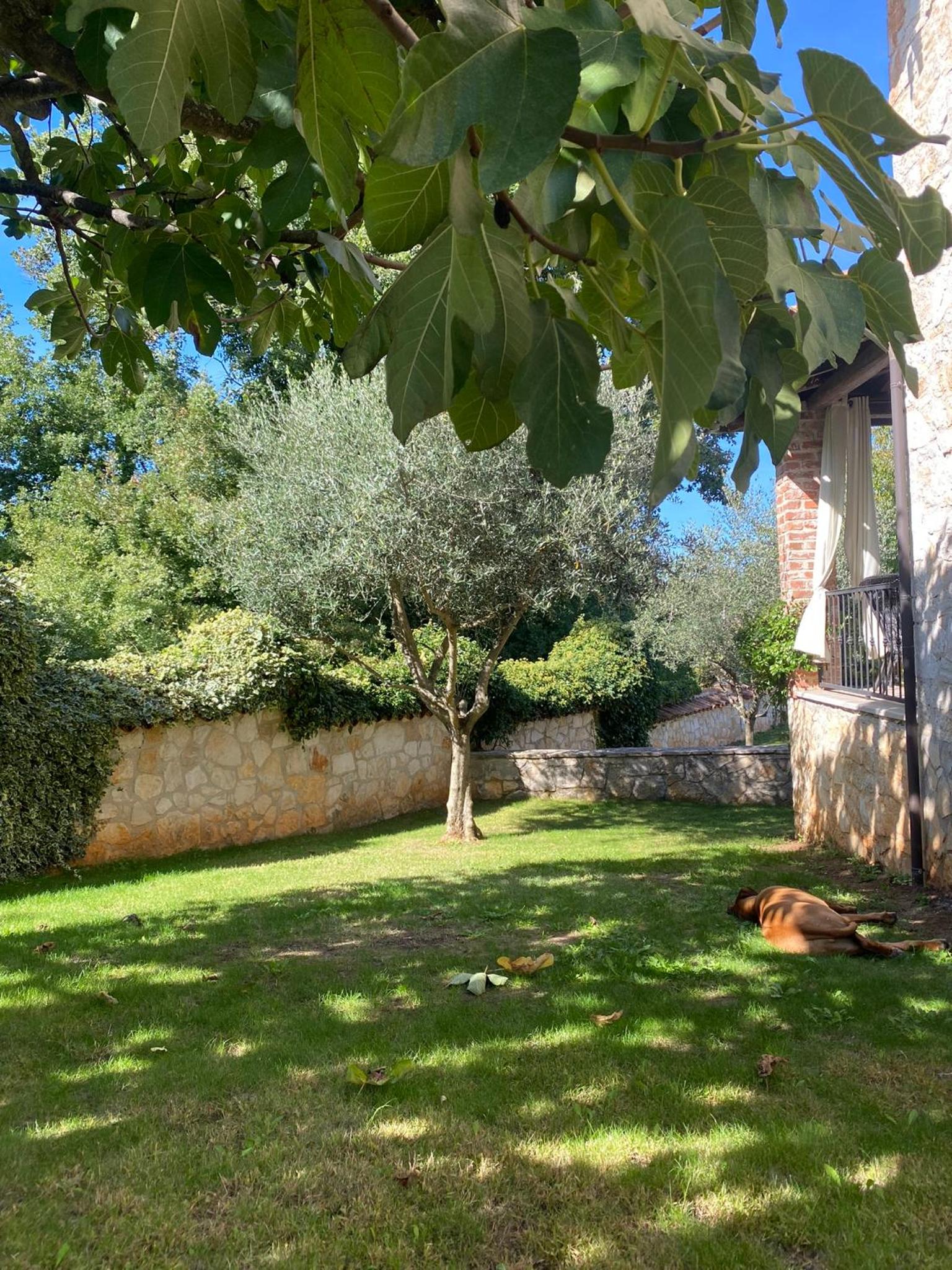 Photo 43