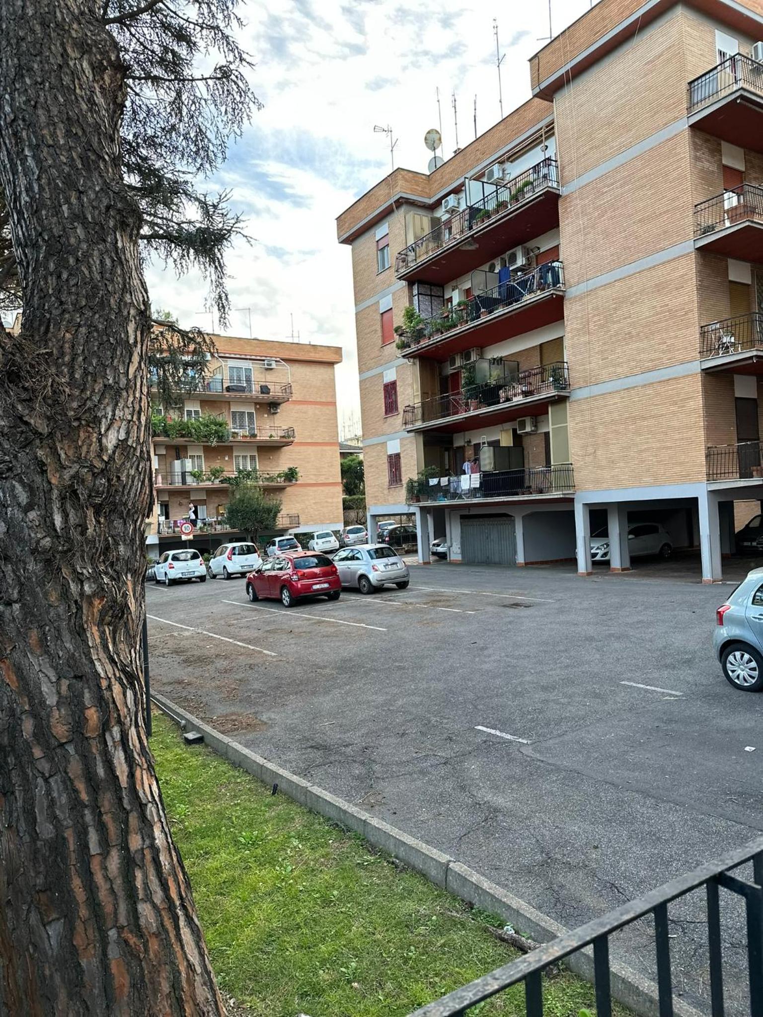 AmoRoma Holiday