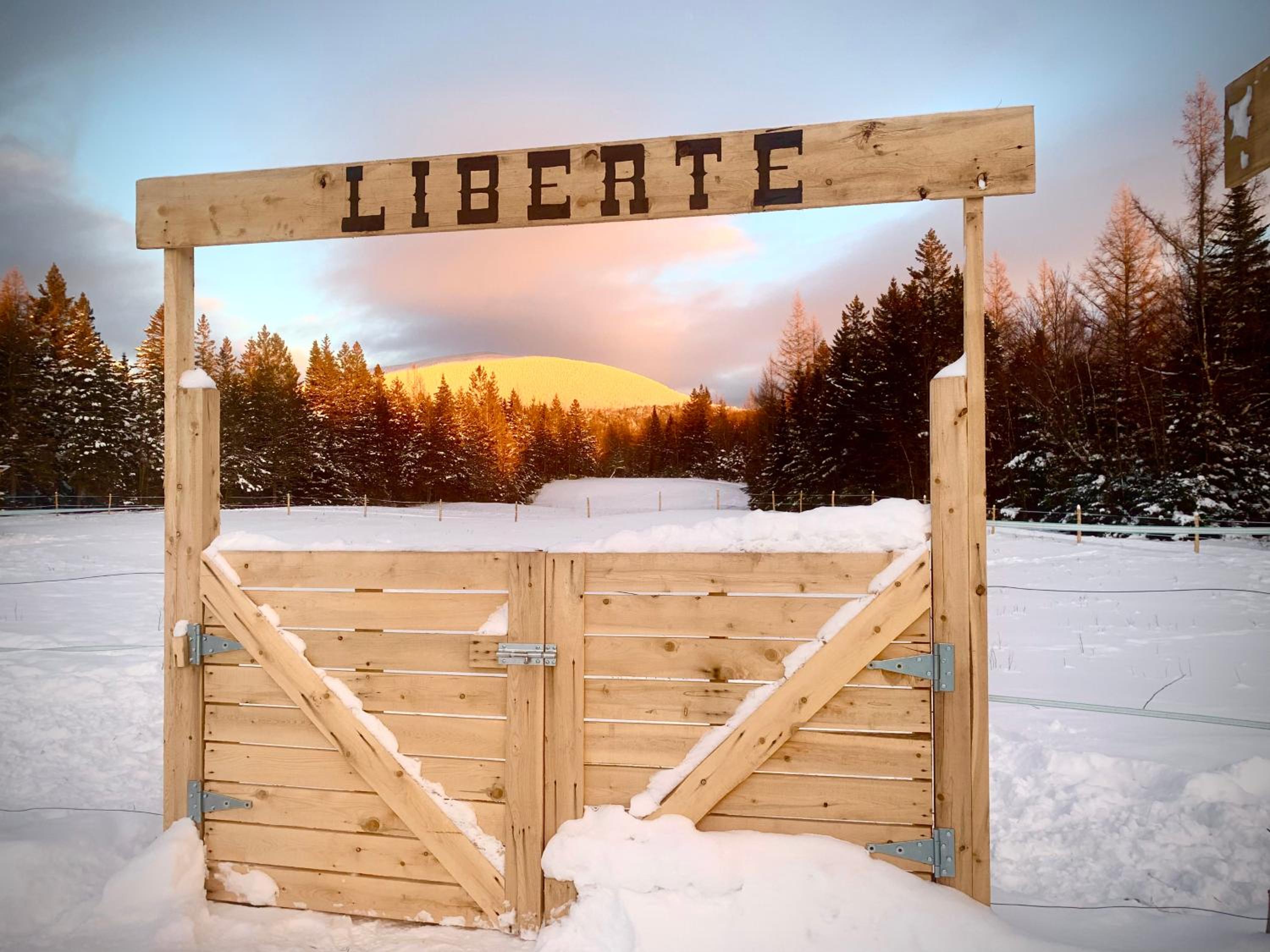 Mont Megantic - Chalet Le Madison