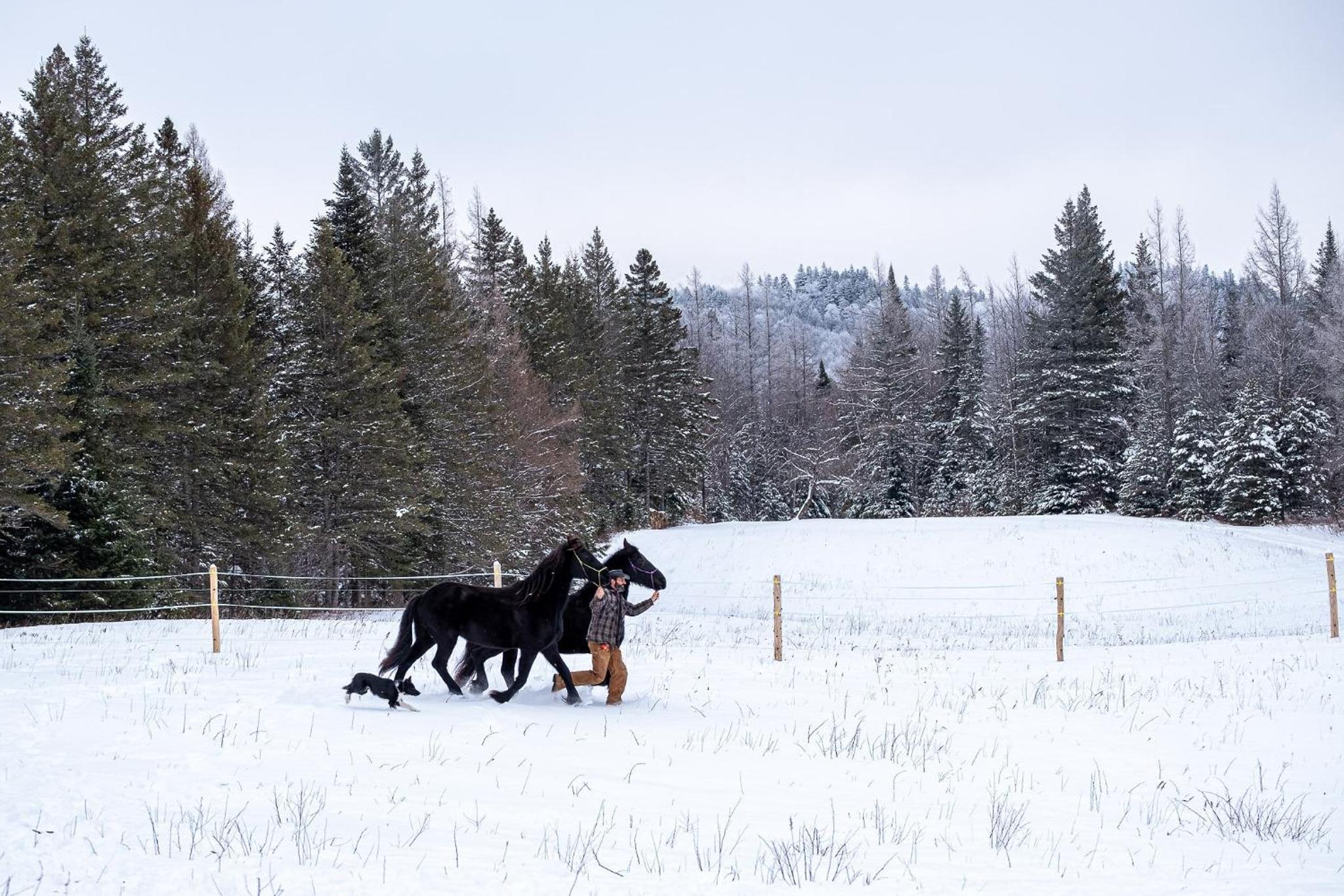 Mont Megantic - Chalet Le Madison