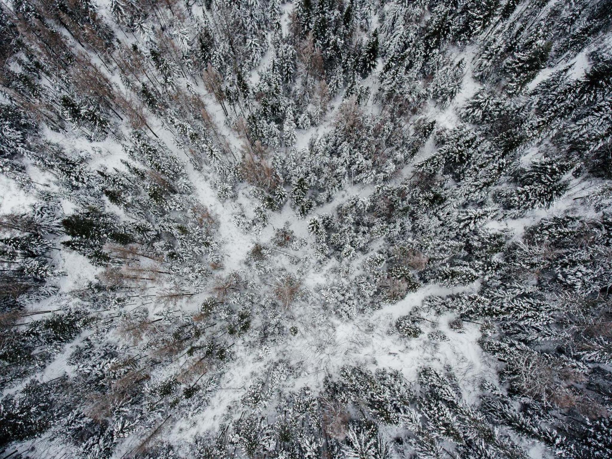 Mont Megantic - Chalet Le Madison