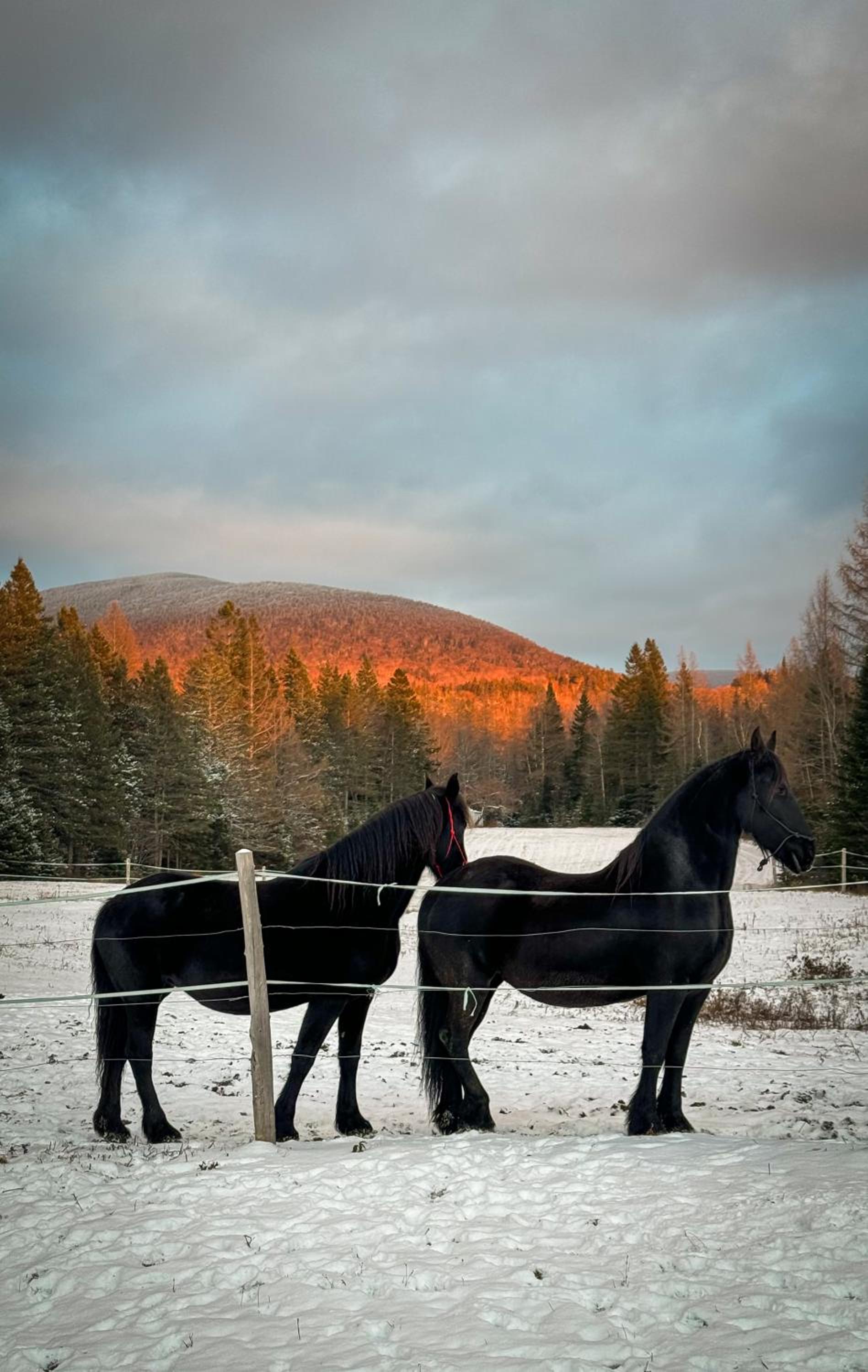 Mont Megantic - Chalet Le Madison
