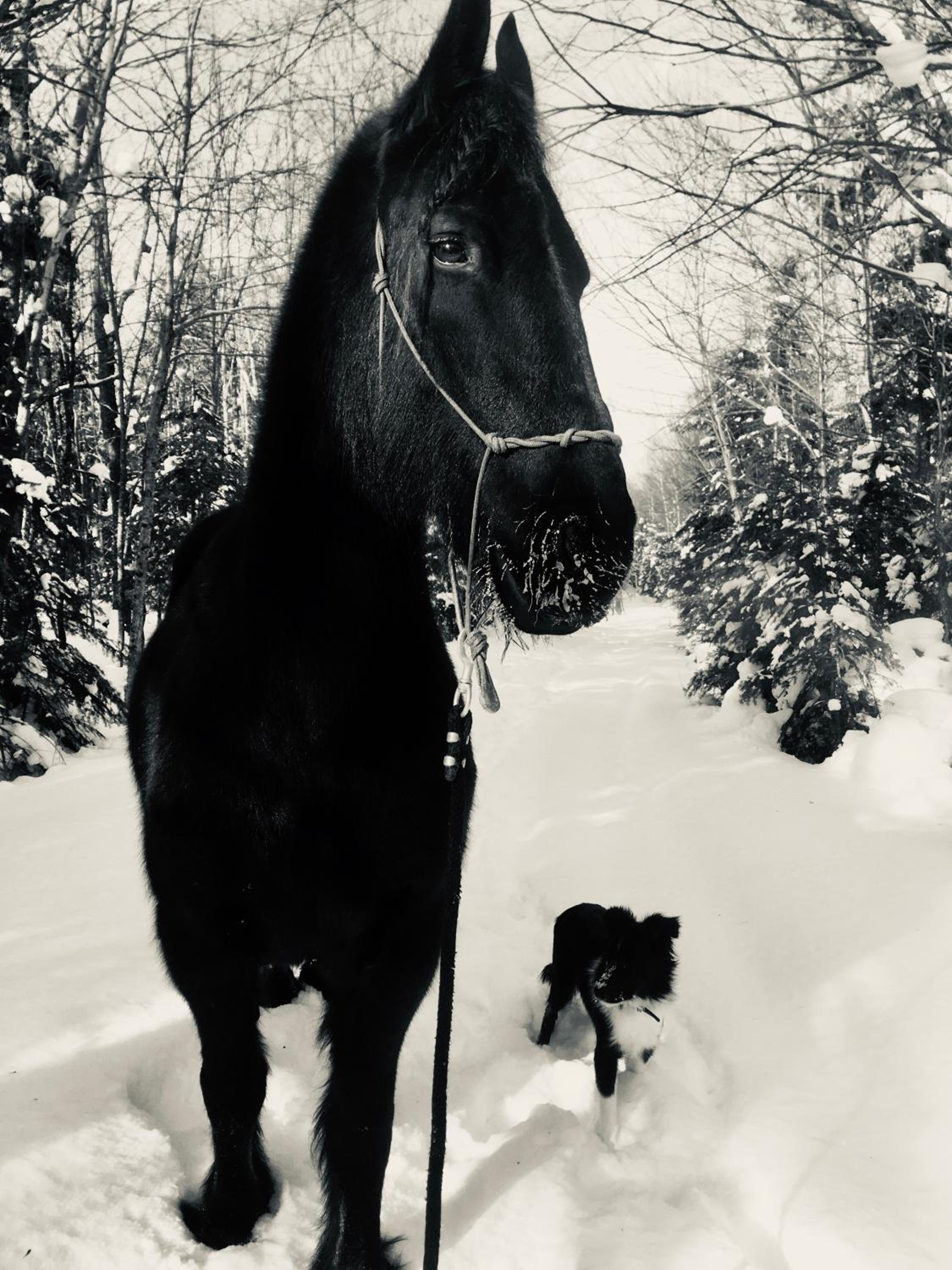 Mont Megantic - Chalet Le Madison
