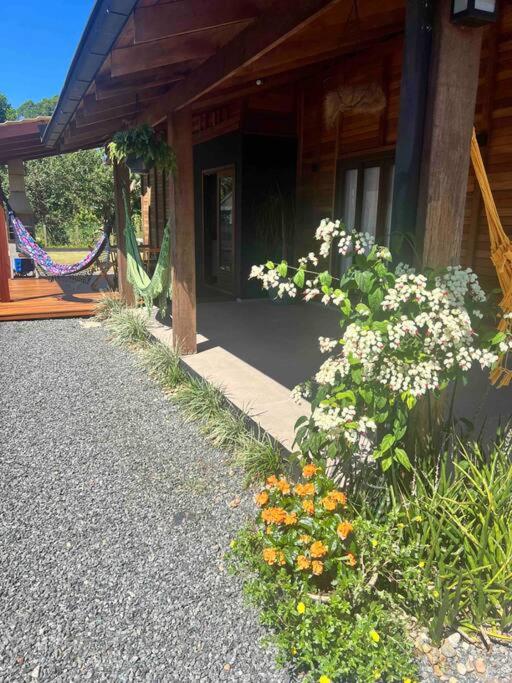 descansar em meio à natureza