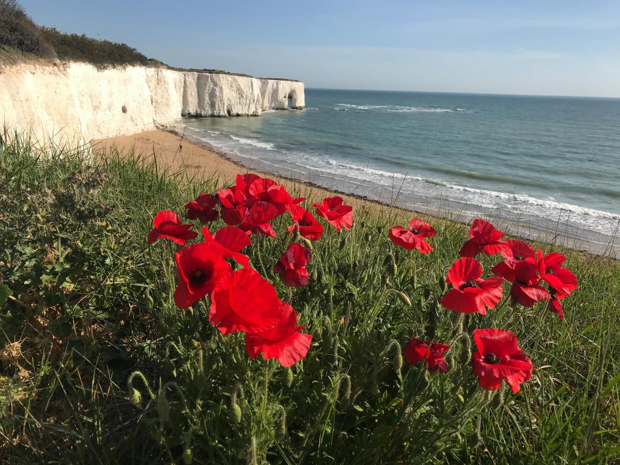 Photo 46