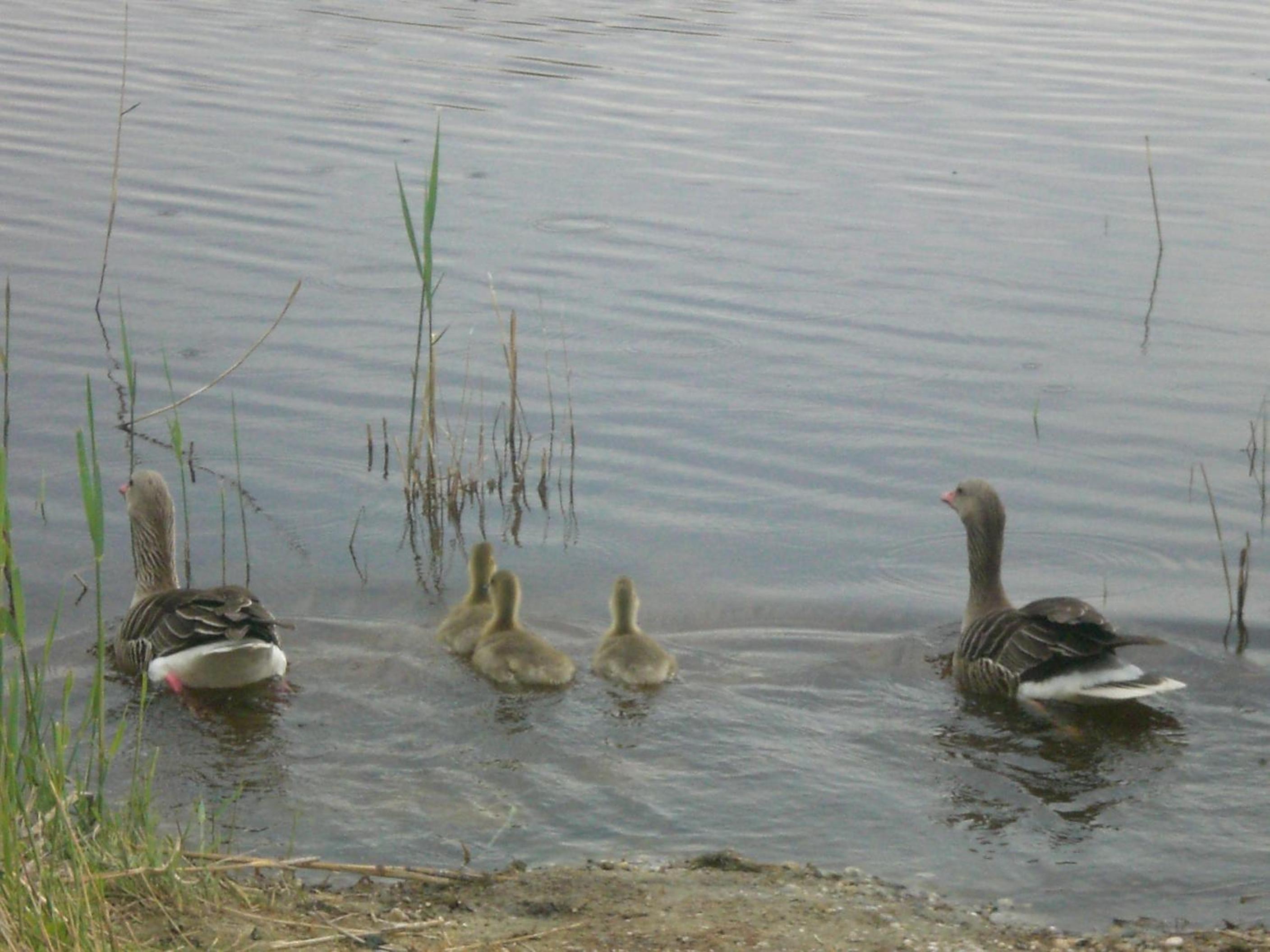 Photo 56