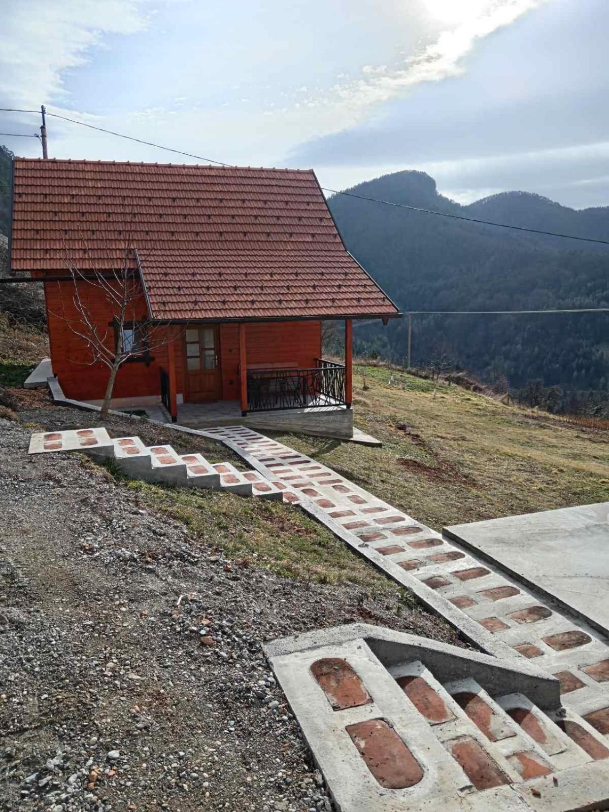 Photo 11