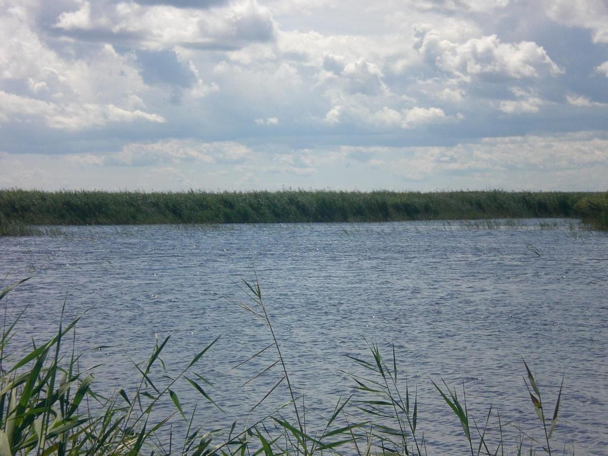 Photo 66