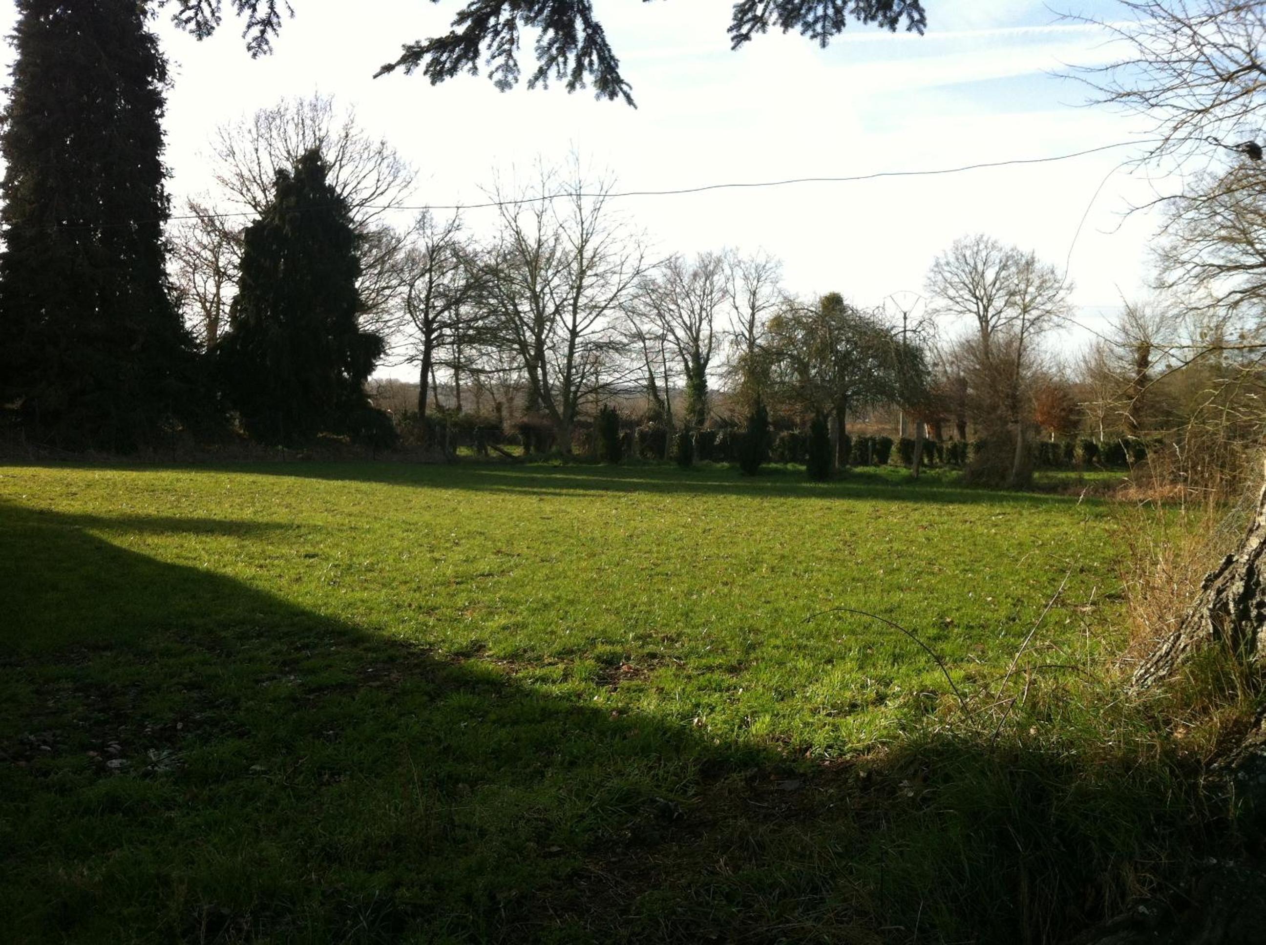 Photo 12