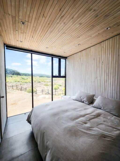 Casa Box, Punta de Lobos