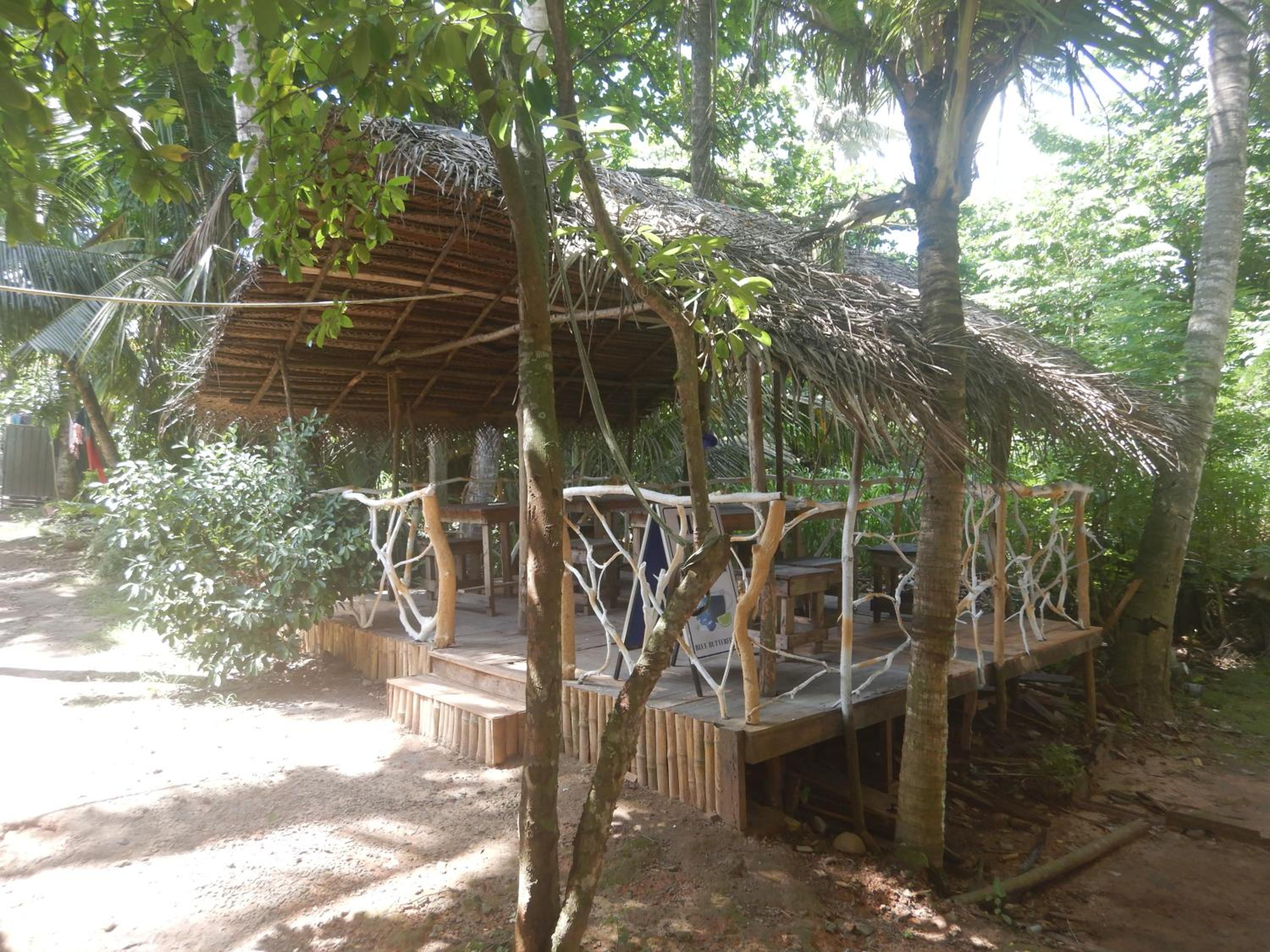 Photo 10