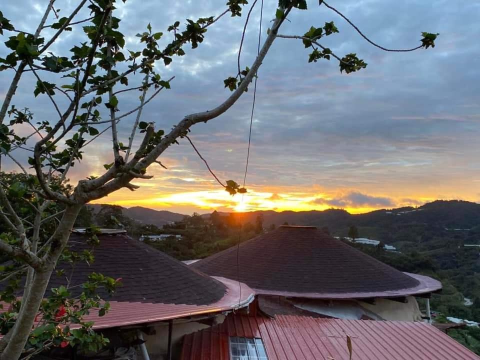 Cameron Highlands Blueberry Earth House