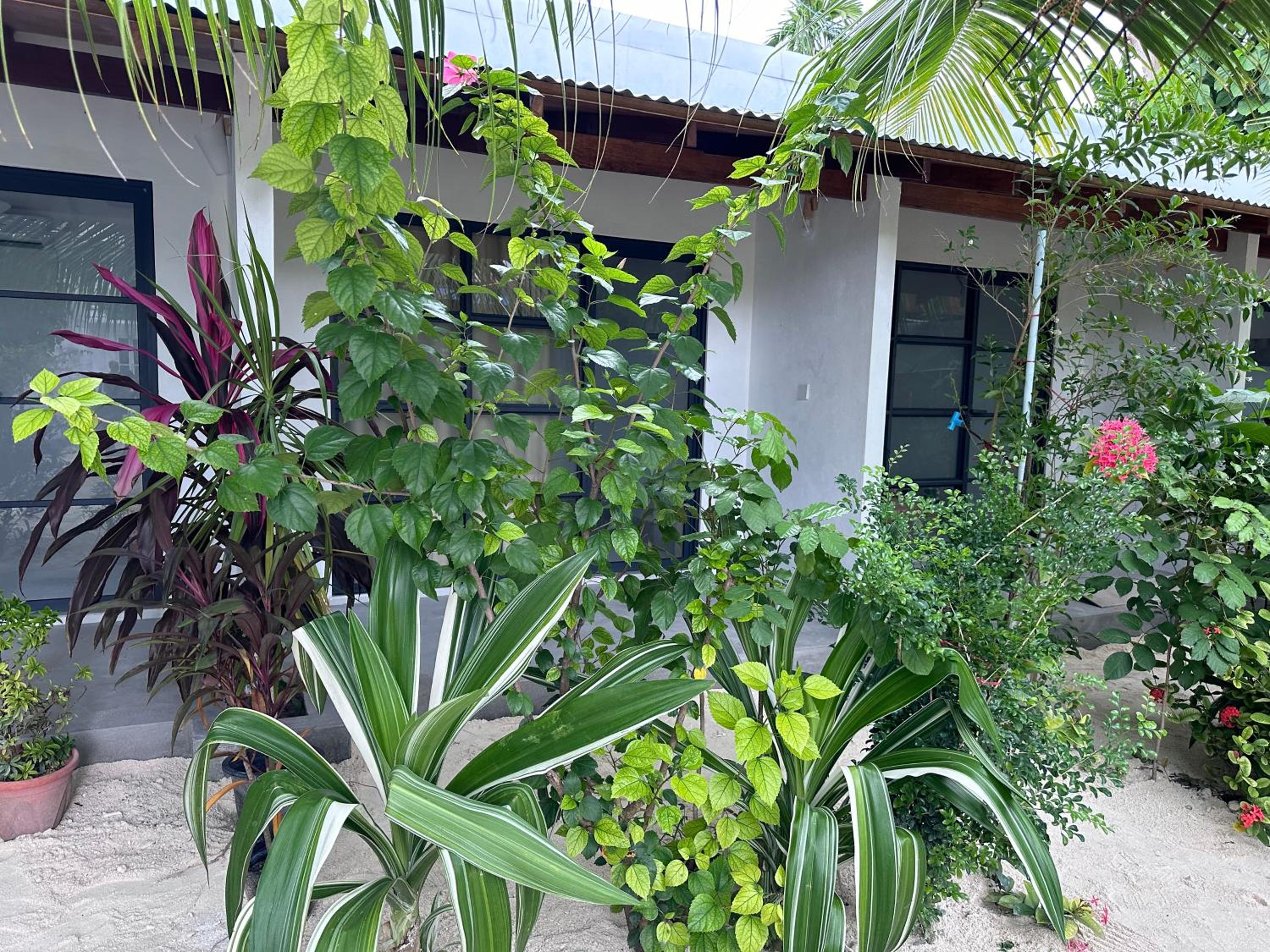 Photo 21