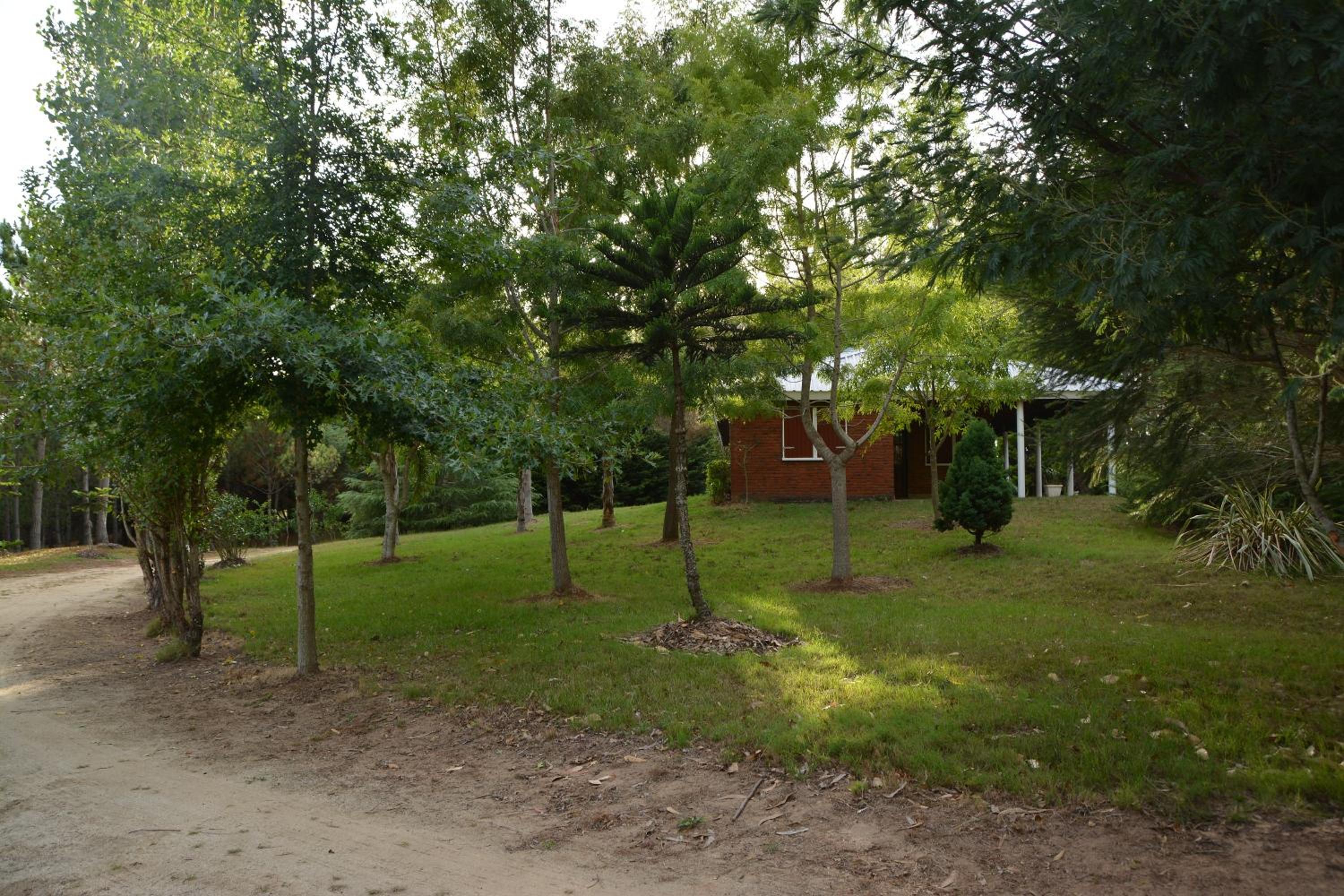 Photo 14