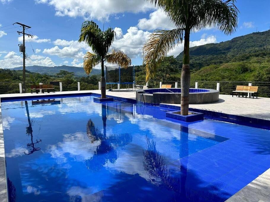 Finca Ivanka