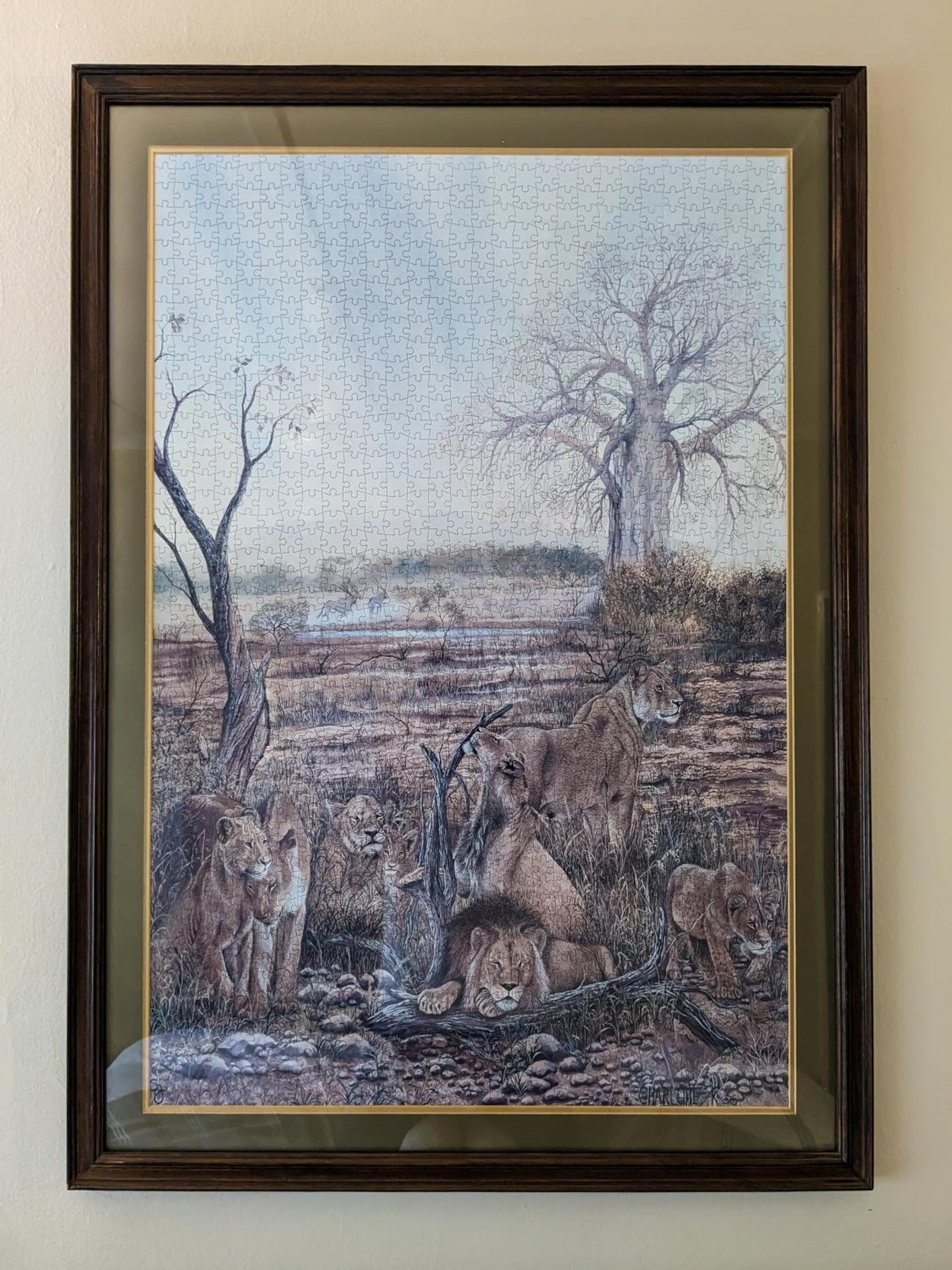 Zambezi Family Lodge - Lion Room 照片第 12 張，共 18 張