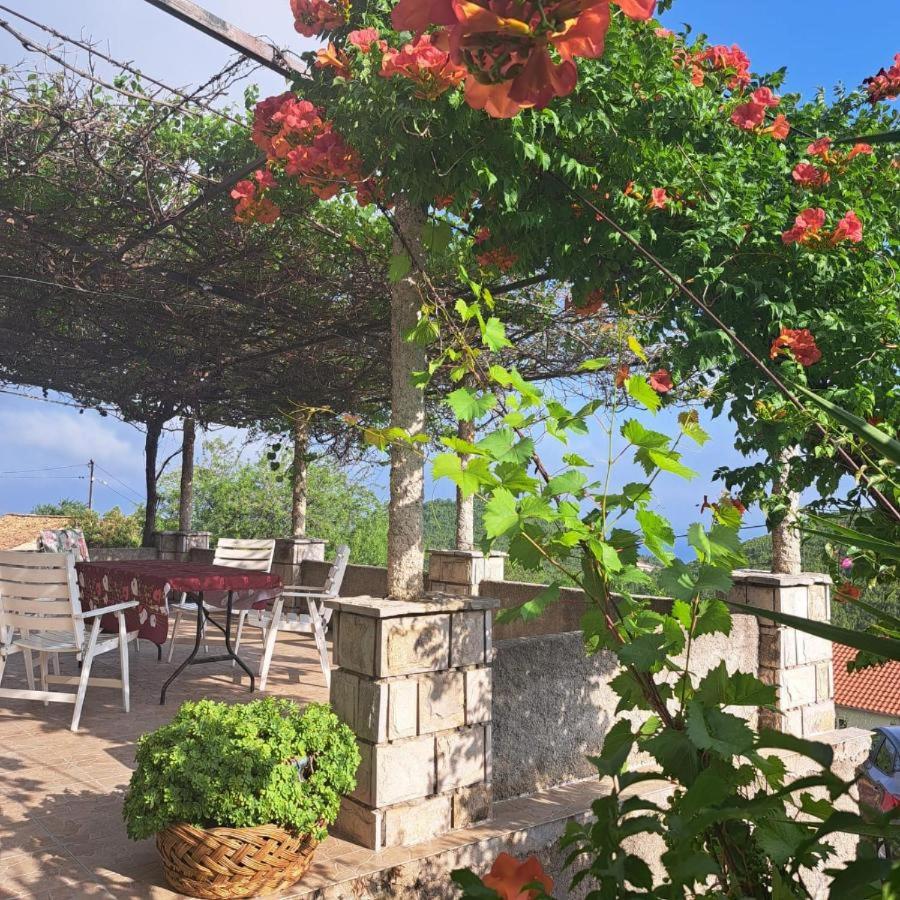 Holiday house Bore view 3